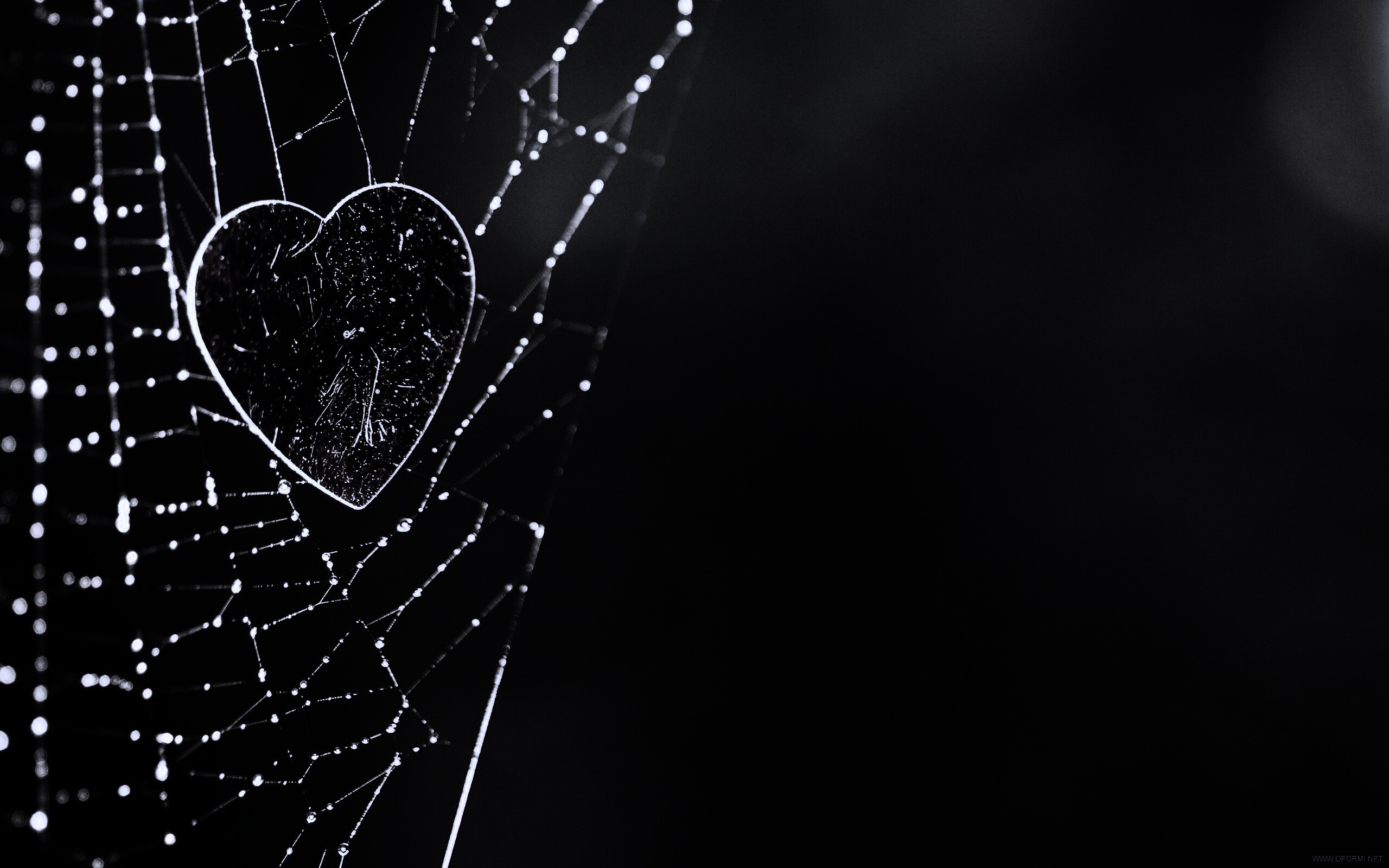 Запутавшаяся любовь.. обои