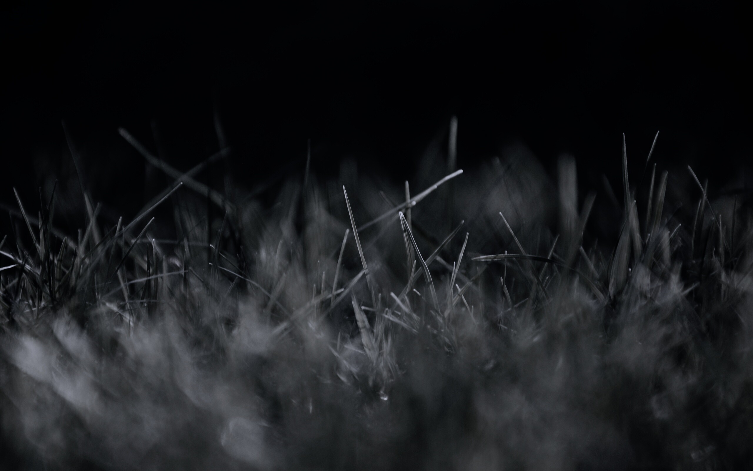 Играя солнечным светом обои