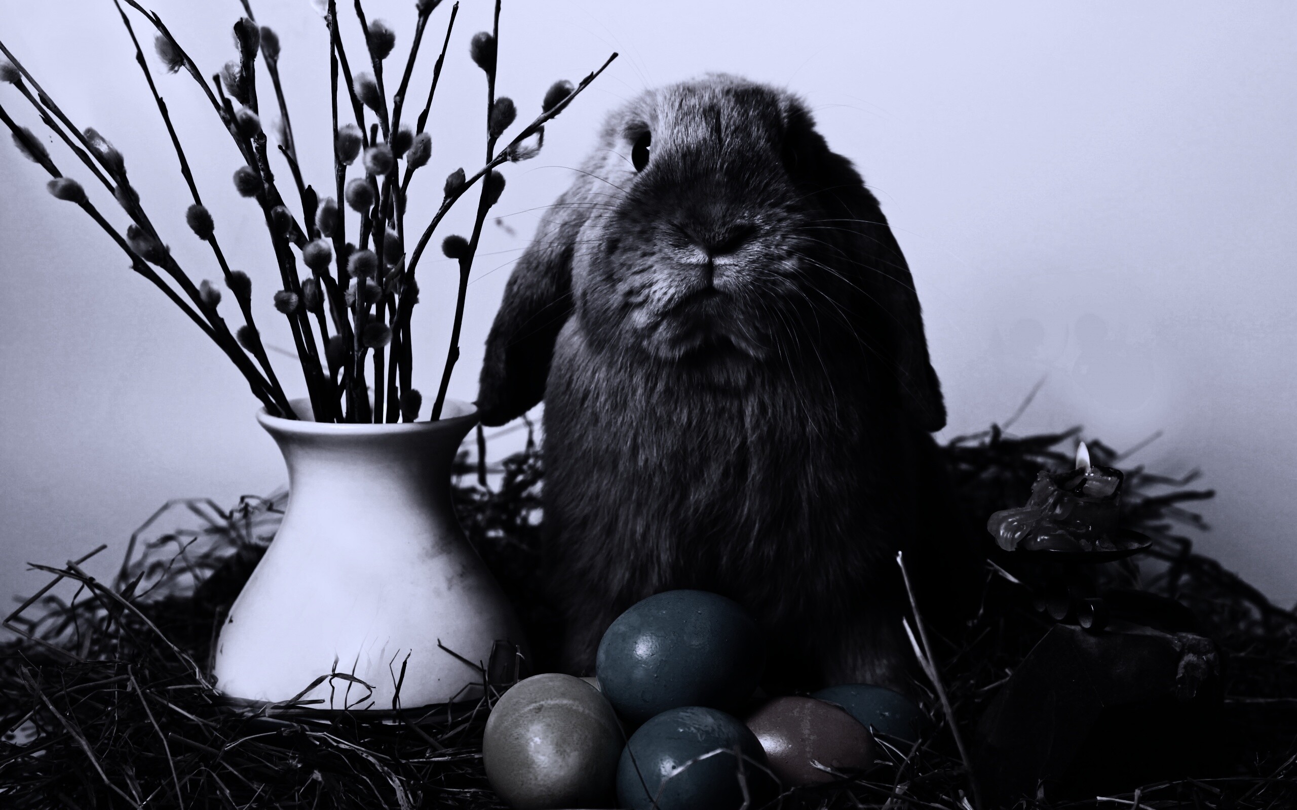 Пасхальный кролик обои