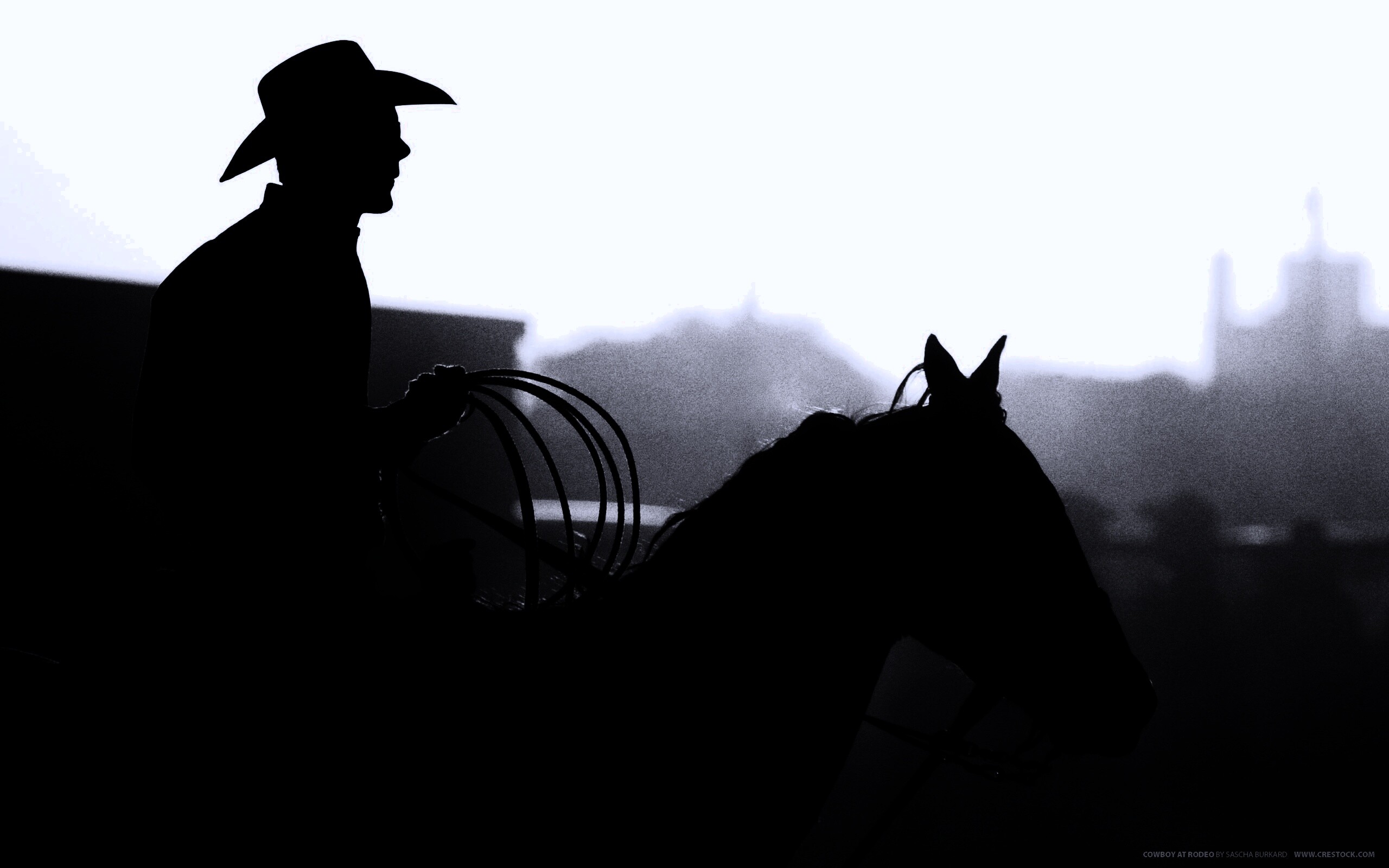 Ковбой с лассо на коне обои