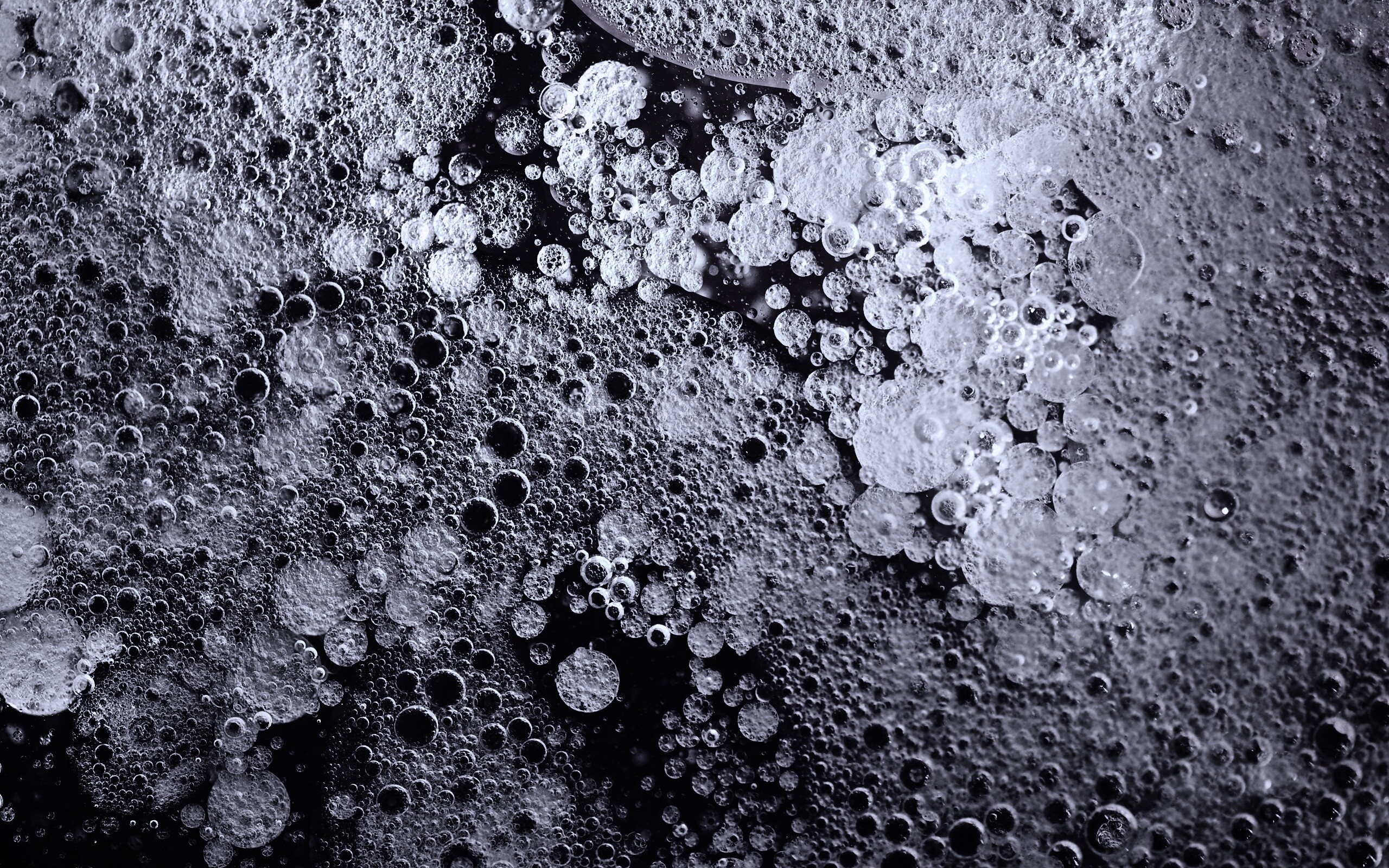 Реакция Вассермана в фиолетовых тонах обои