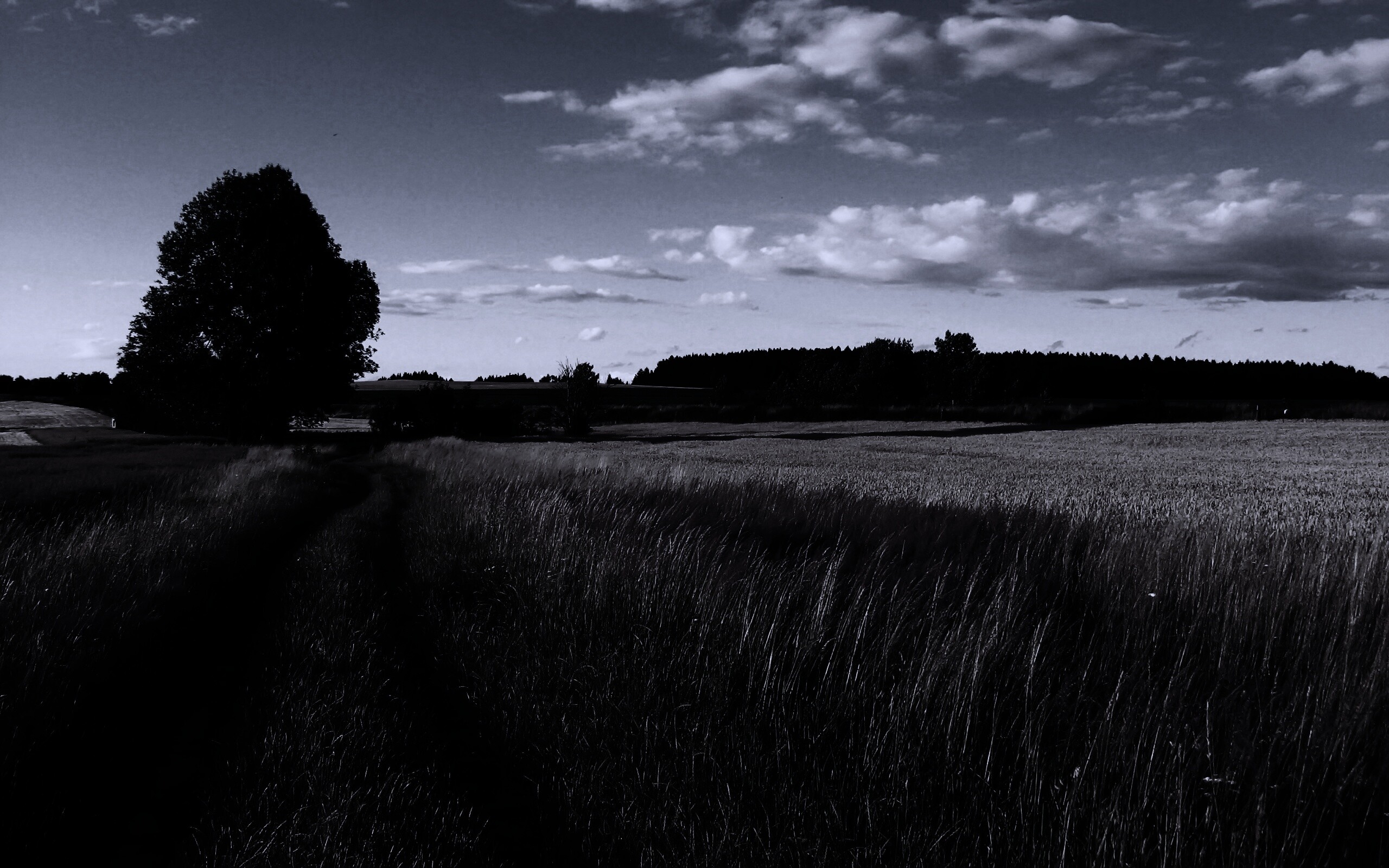 Колея в поле обои