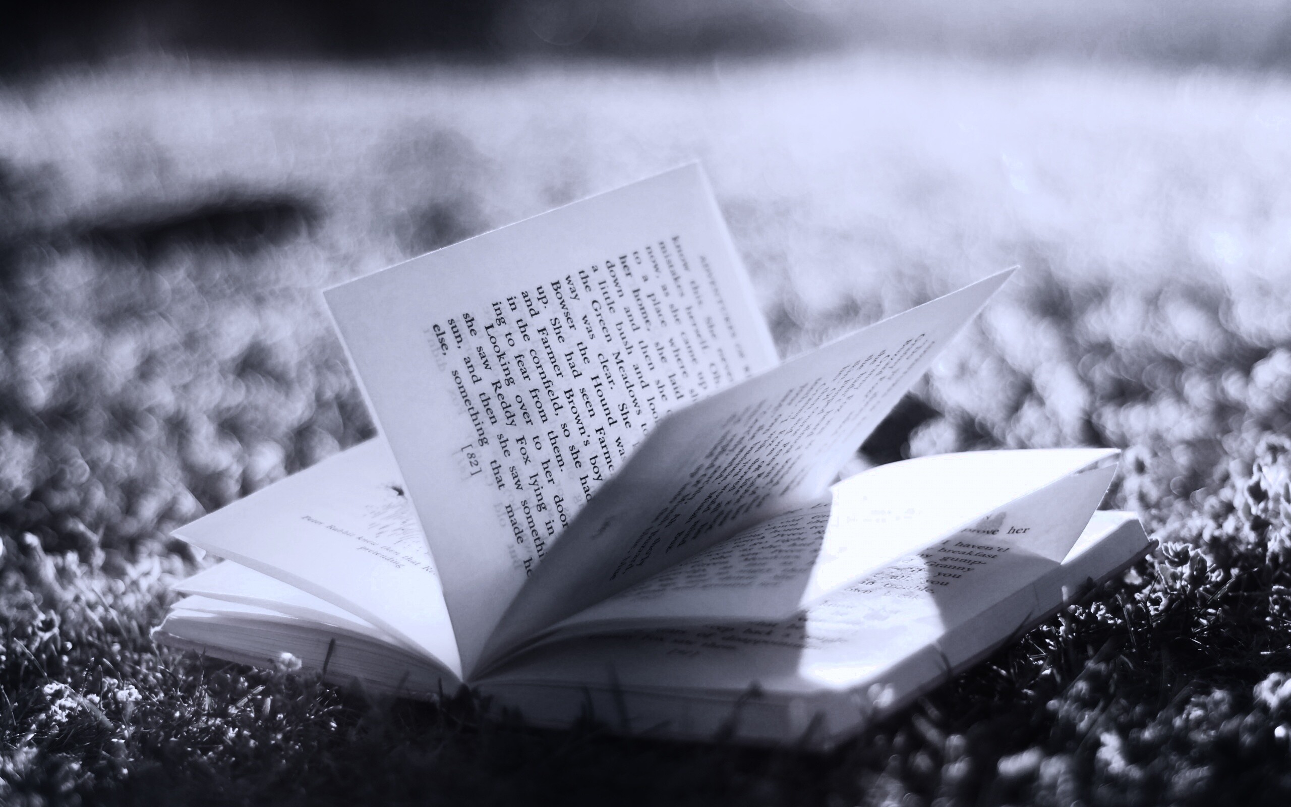 Книга в нежном свете обои