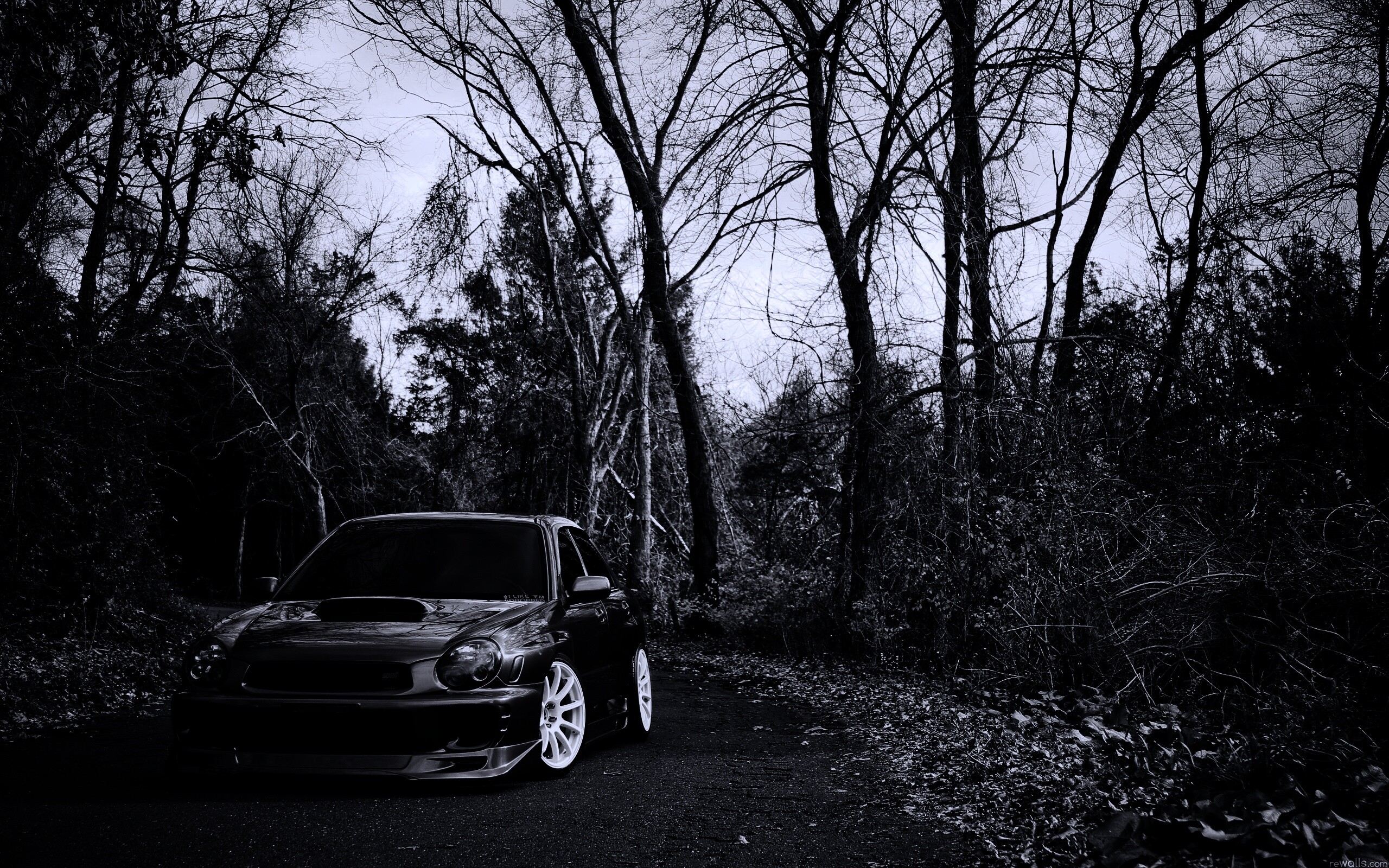 Субару Импреза на лесной дороге обои