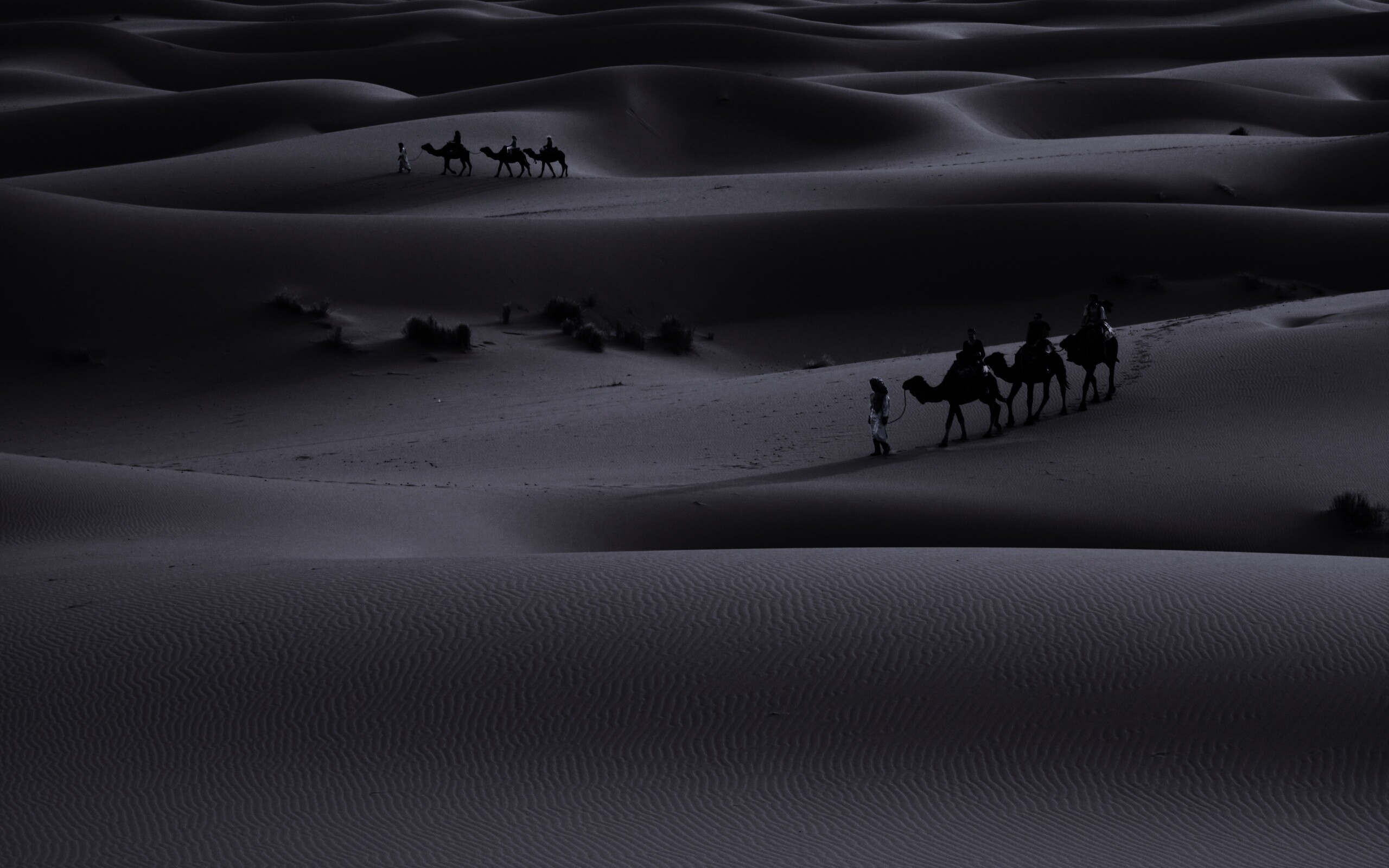 Караваны пустыни обои