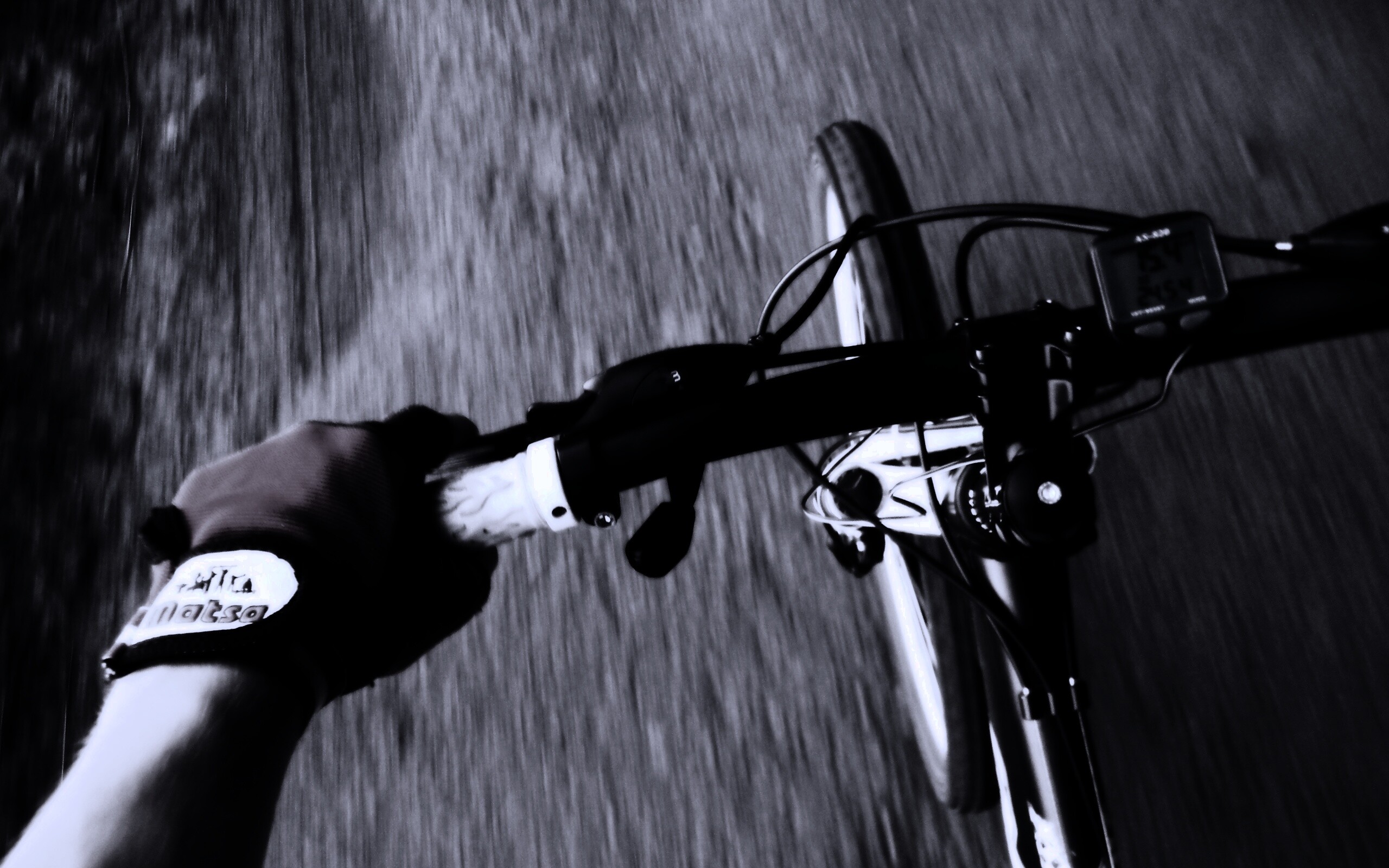 Катание на велосипеде обои