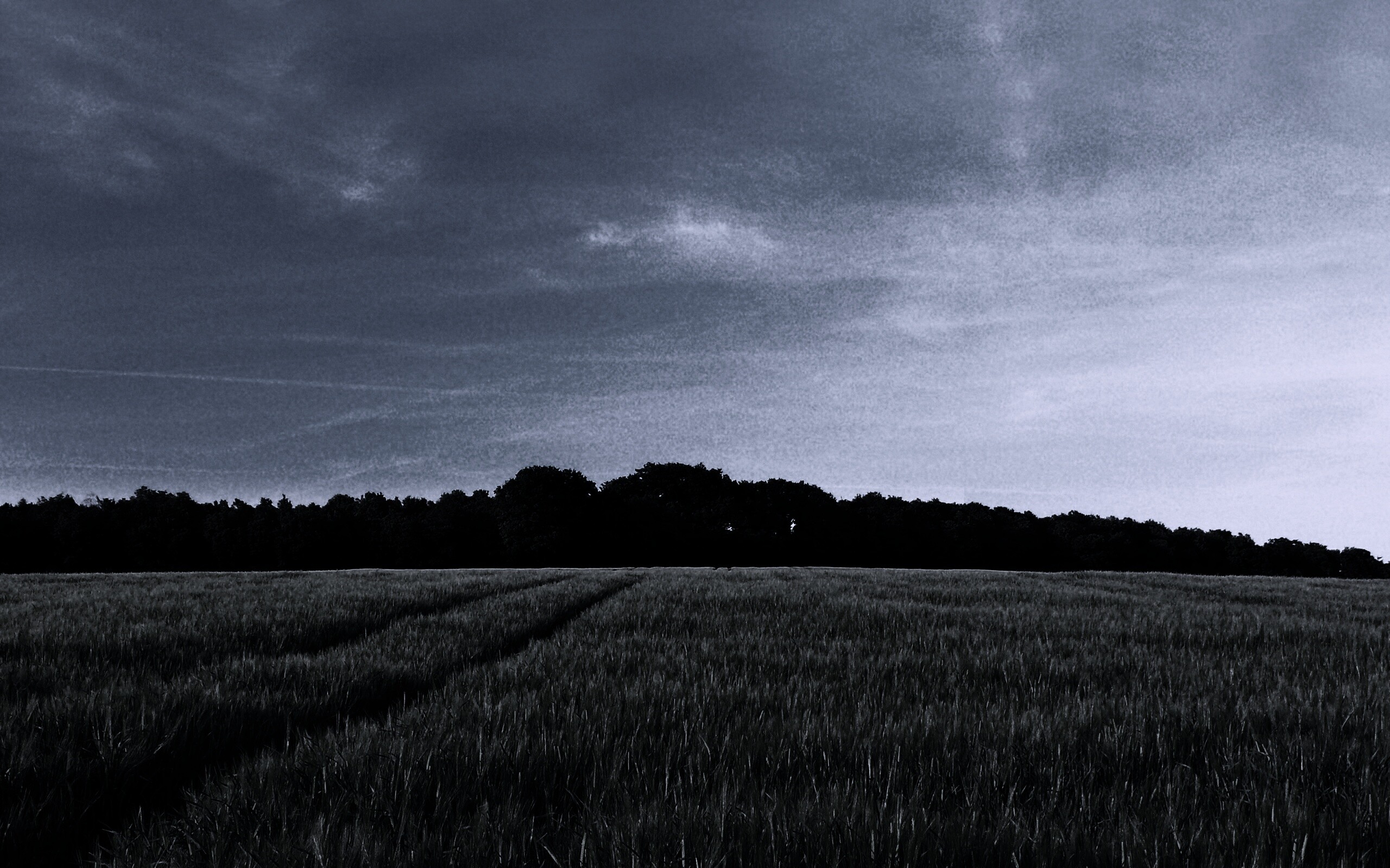 Следы колеи в поле обои