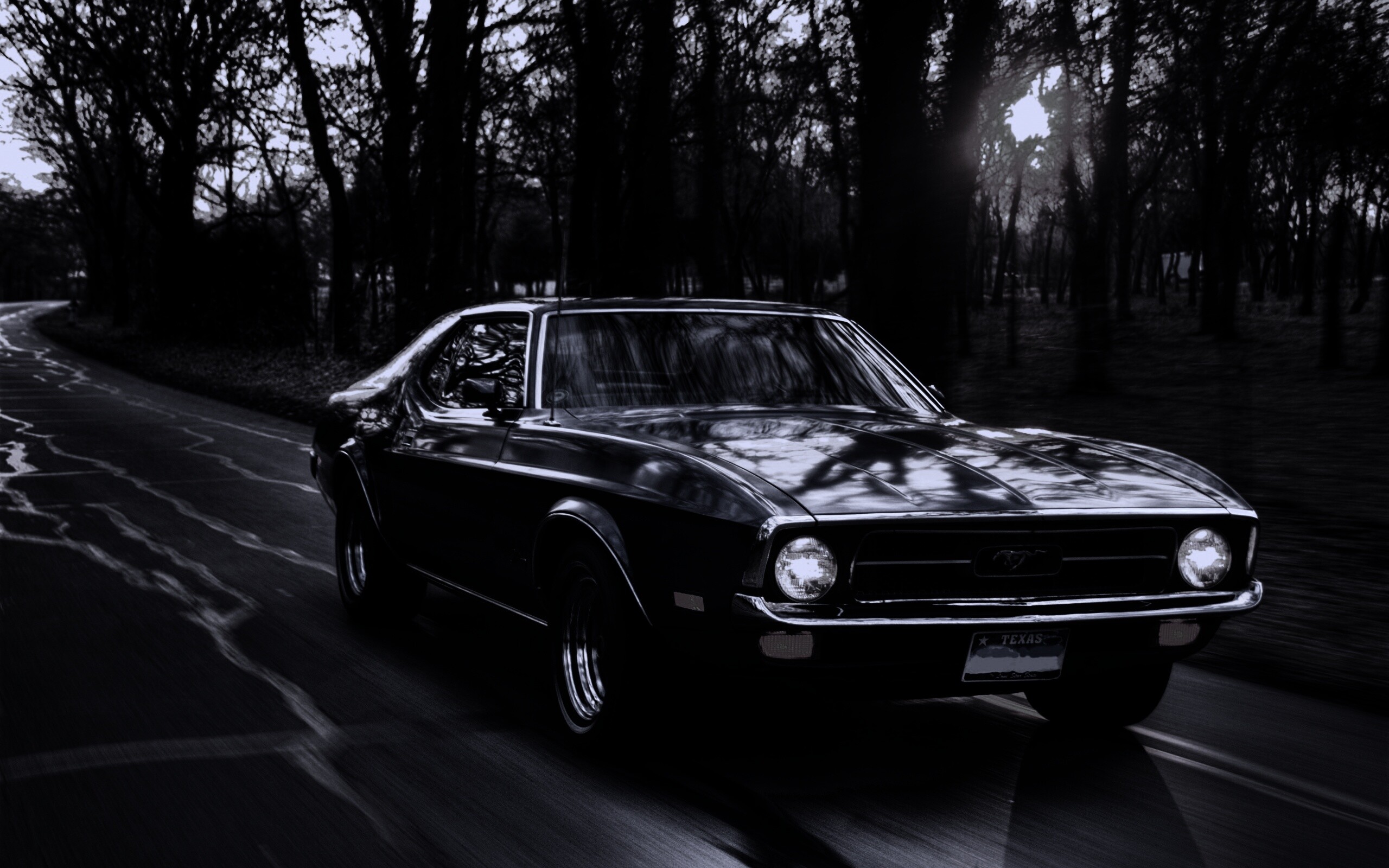 Мустанг обои