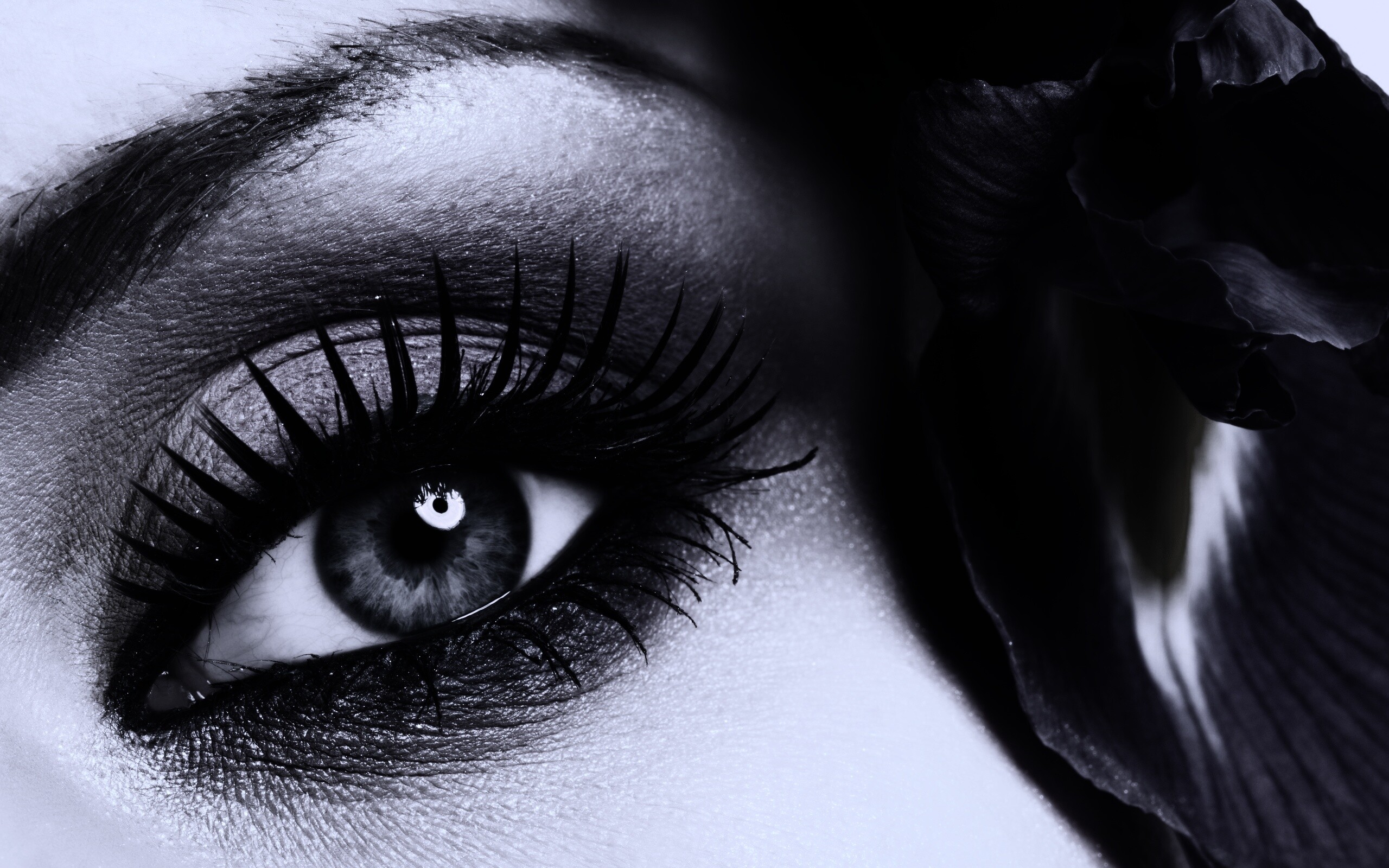 Макияж и цветок обои