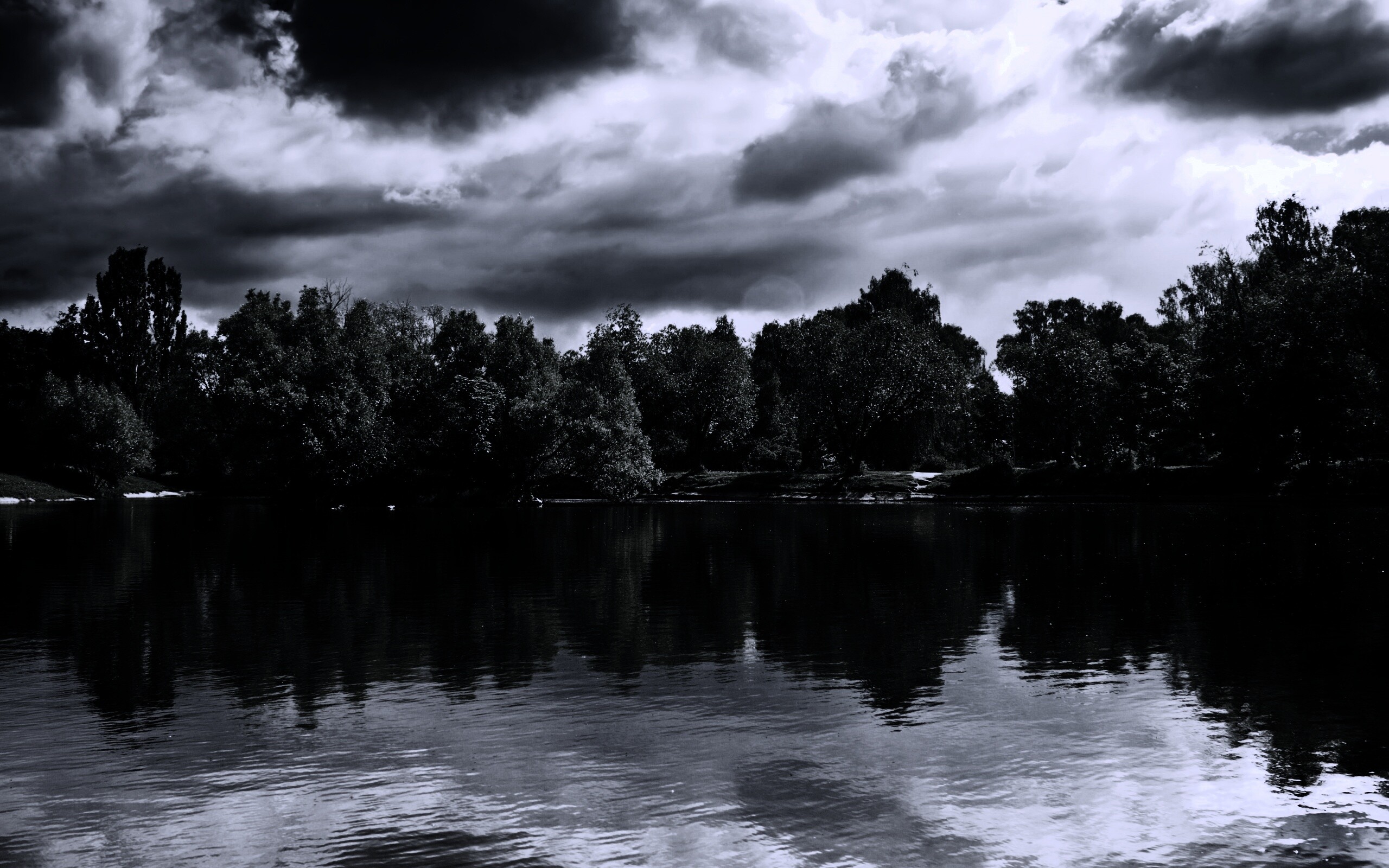 Деревья на берегу озера обои