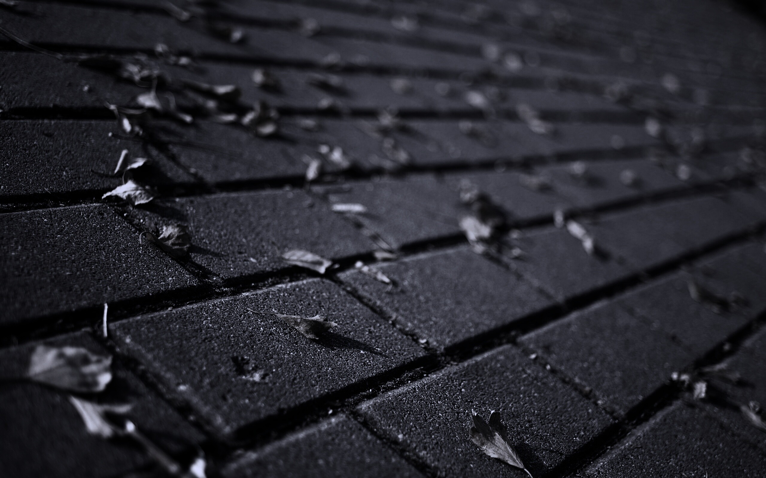 Тротуар обои