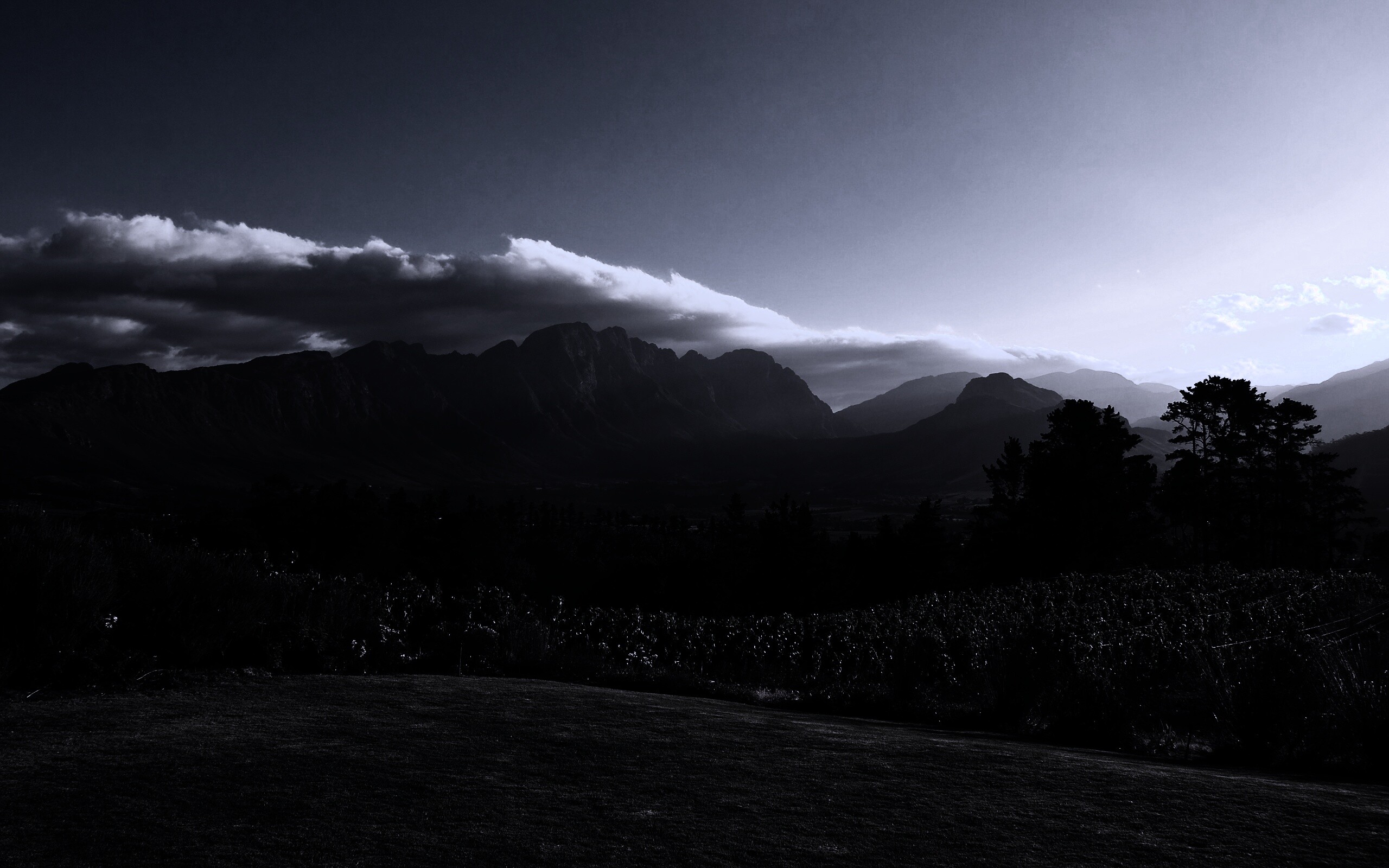 Виноградники в Африке обои