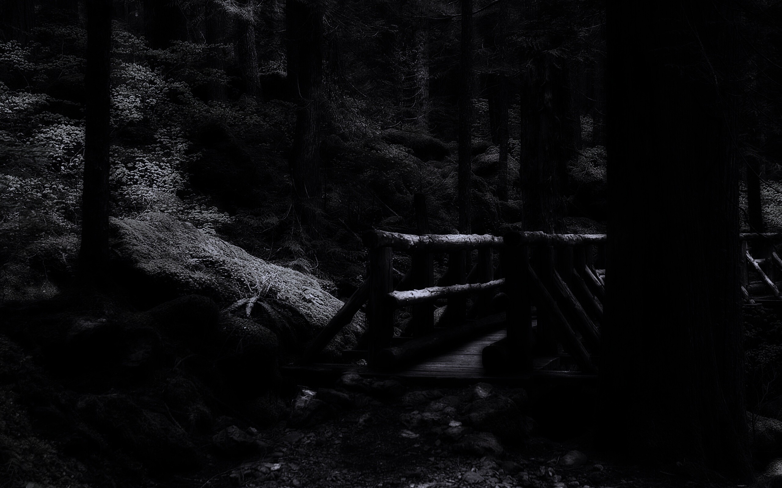 Бревенчатый мост в лесу обои