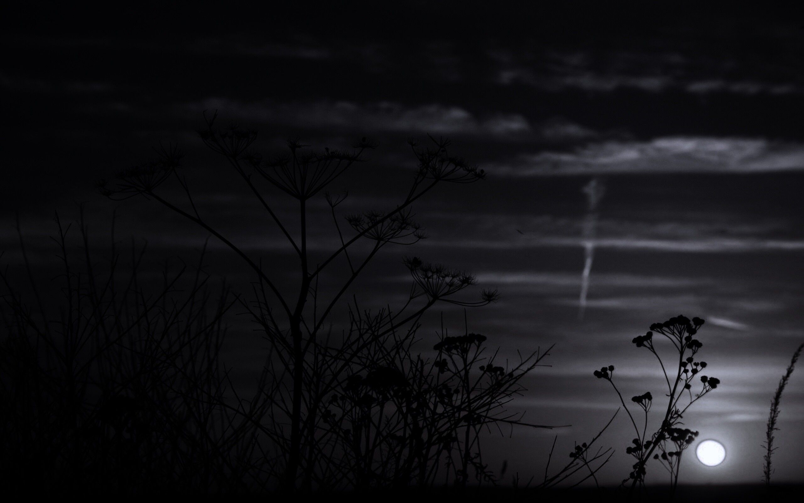 Степной закат обои