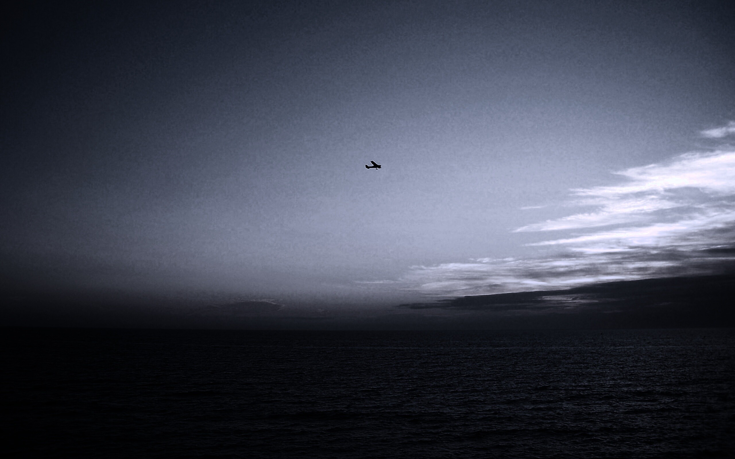 Паращий над морем обои