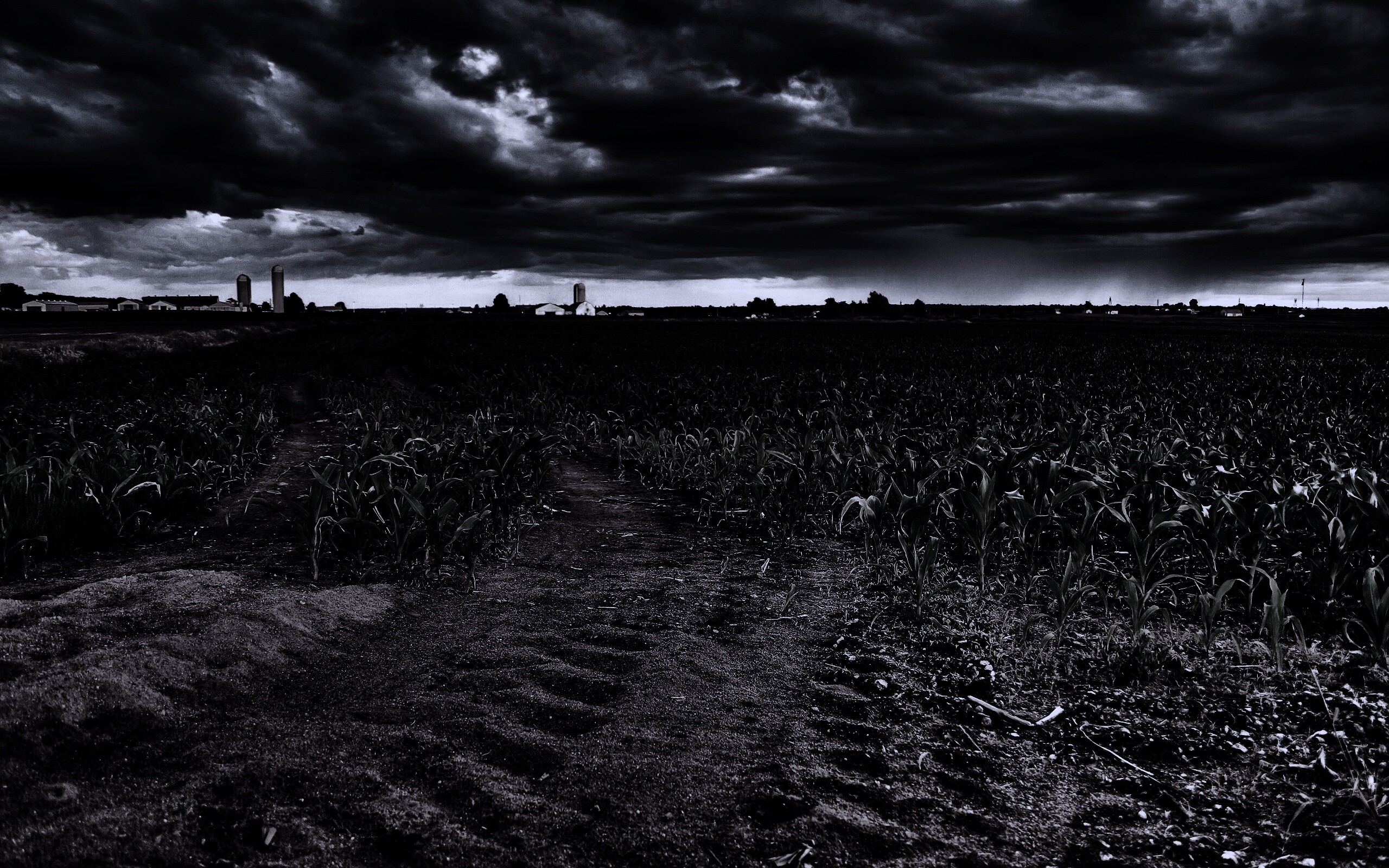 Кукурузное поле у фермы обои