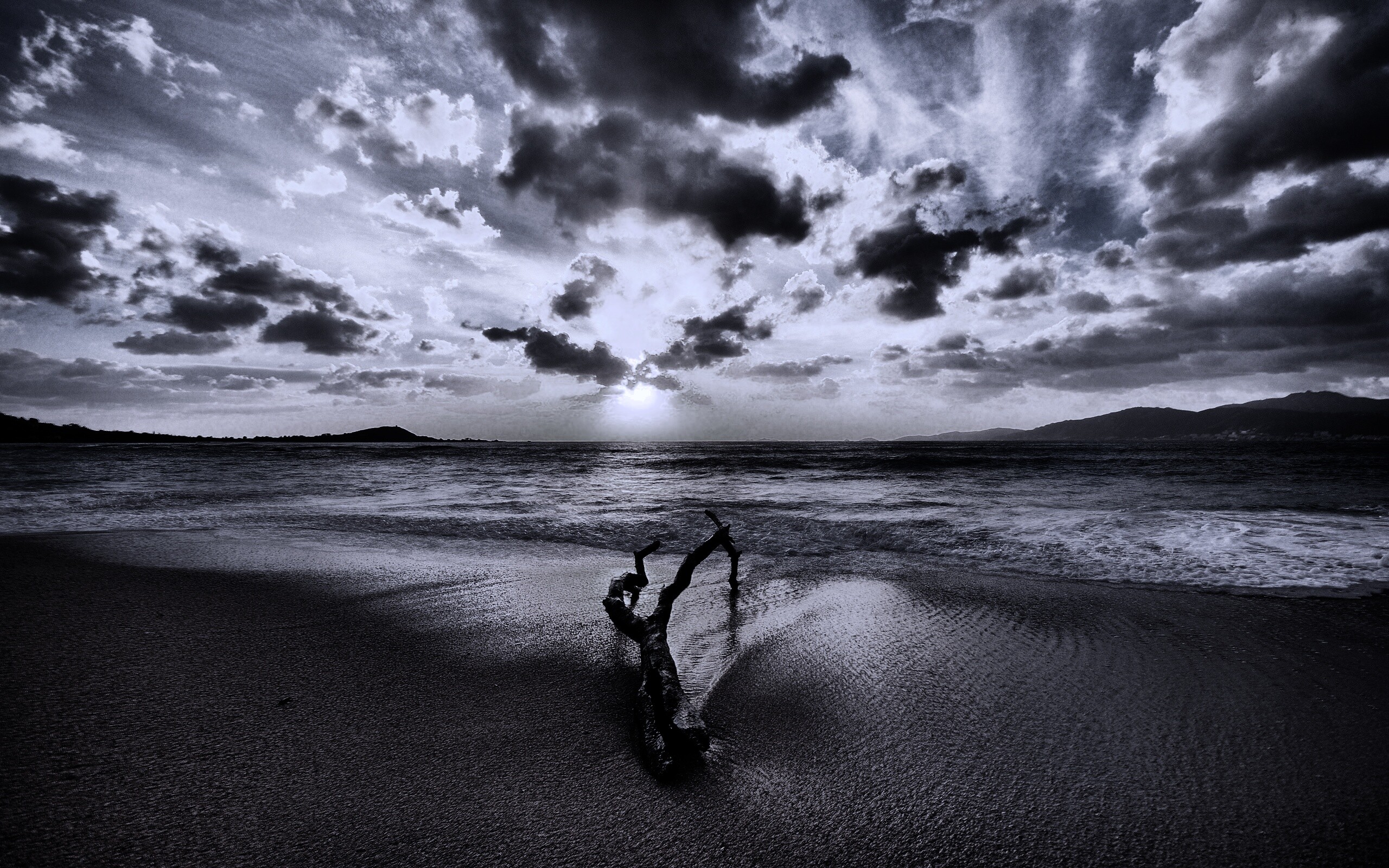 Коряга на пляже обои