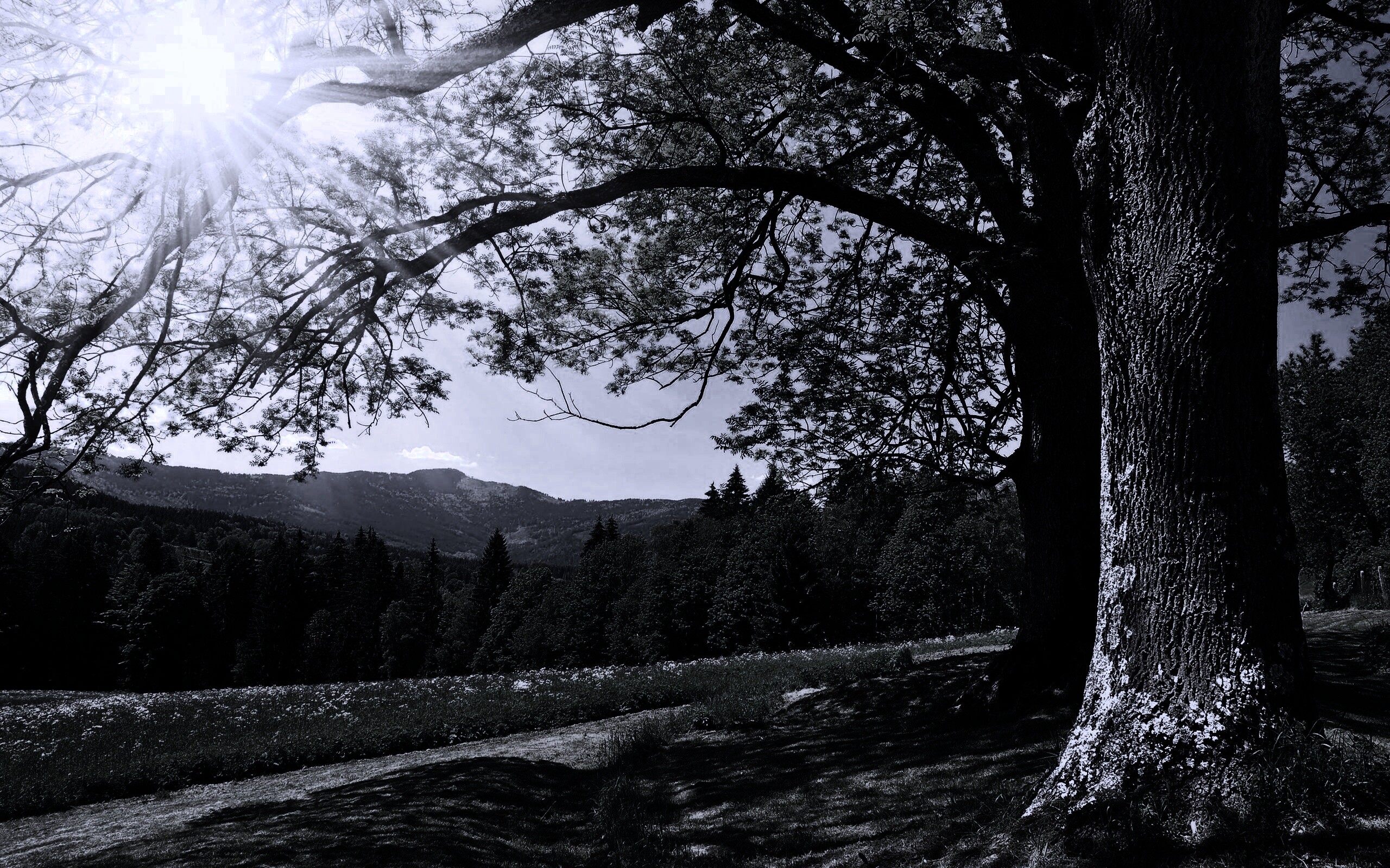 Лето в деревне обои