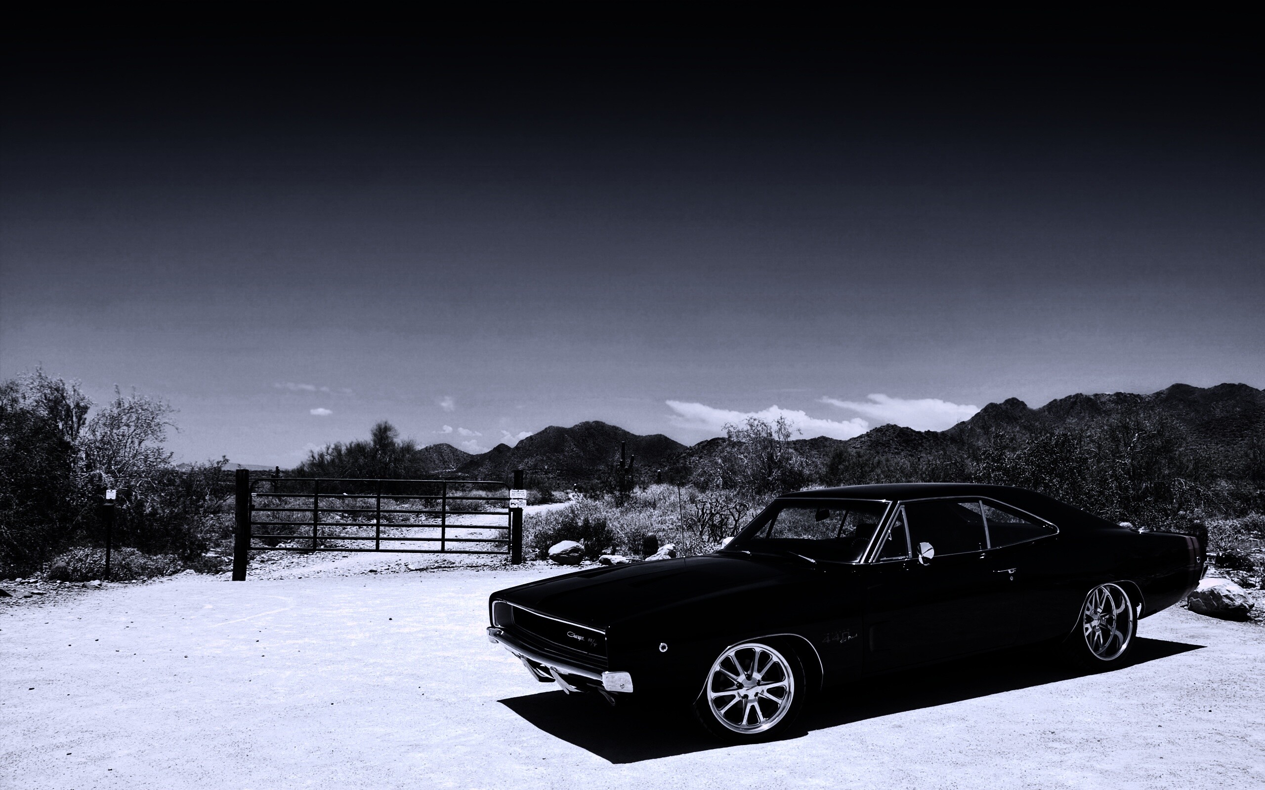 Мускулкар под палящим солнцем обои