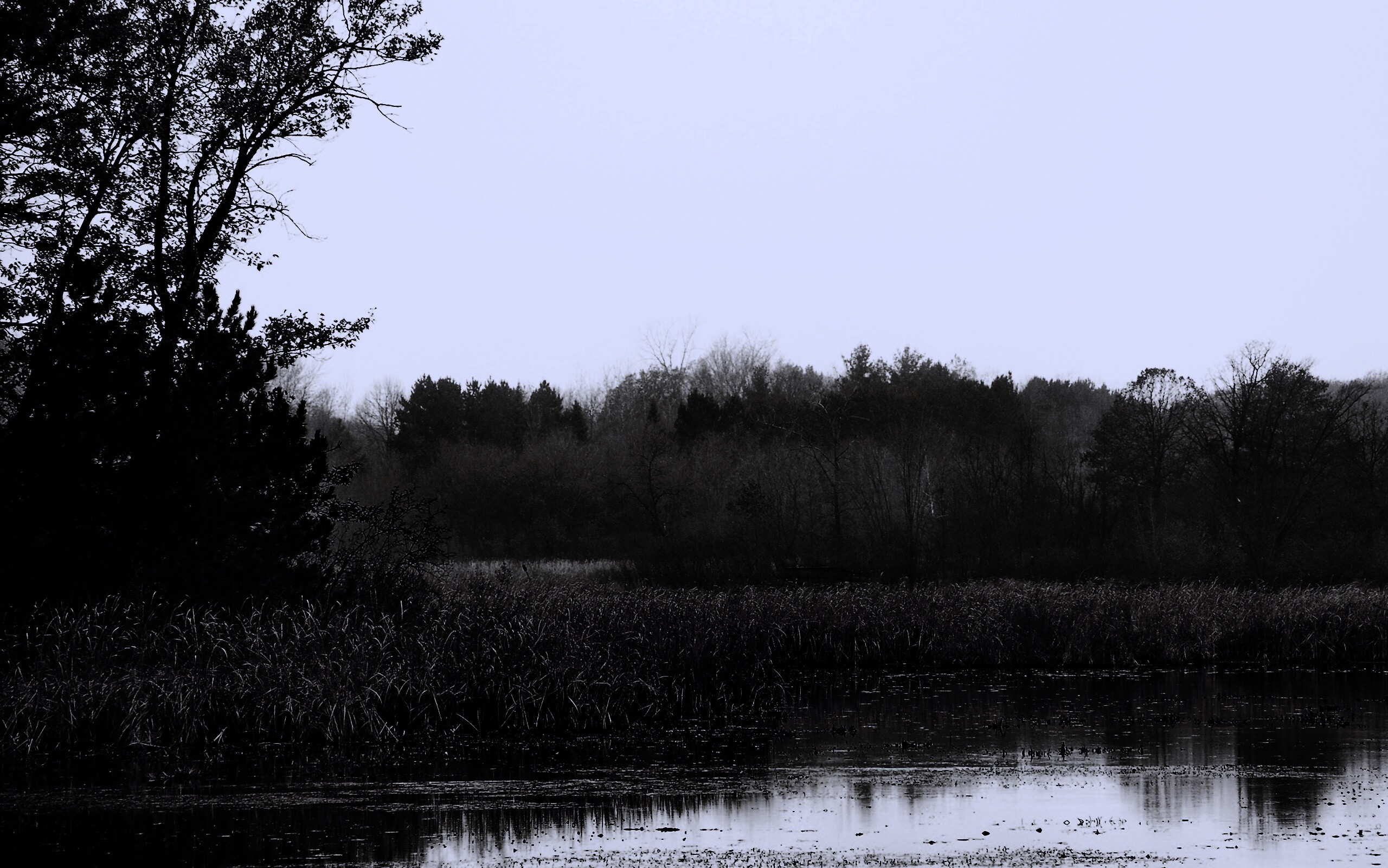 Живописные болота обои