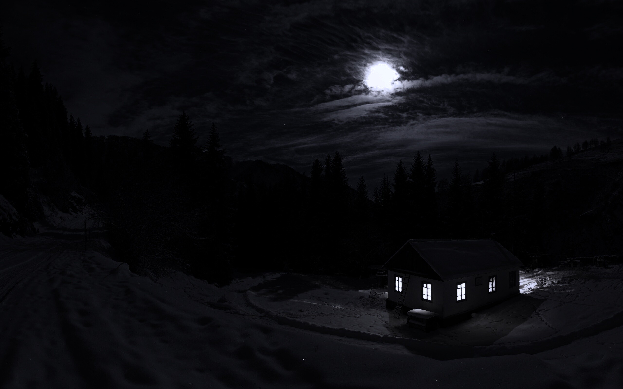 Один в зимнем лесу обои