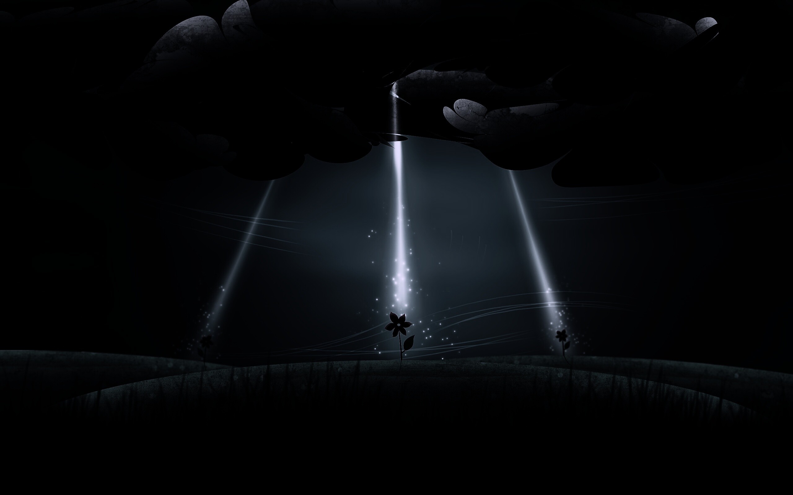 Свет для цветов обои