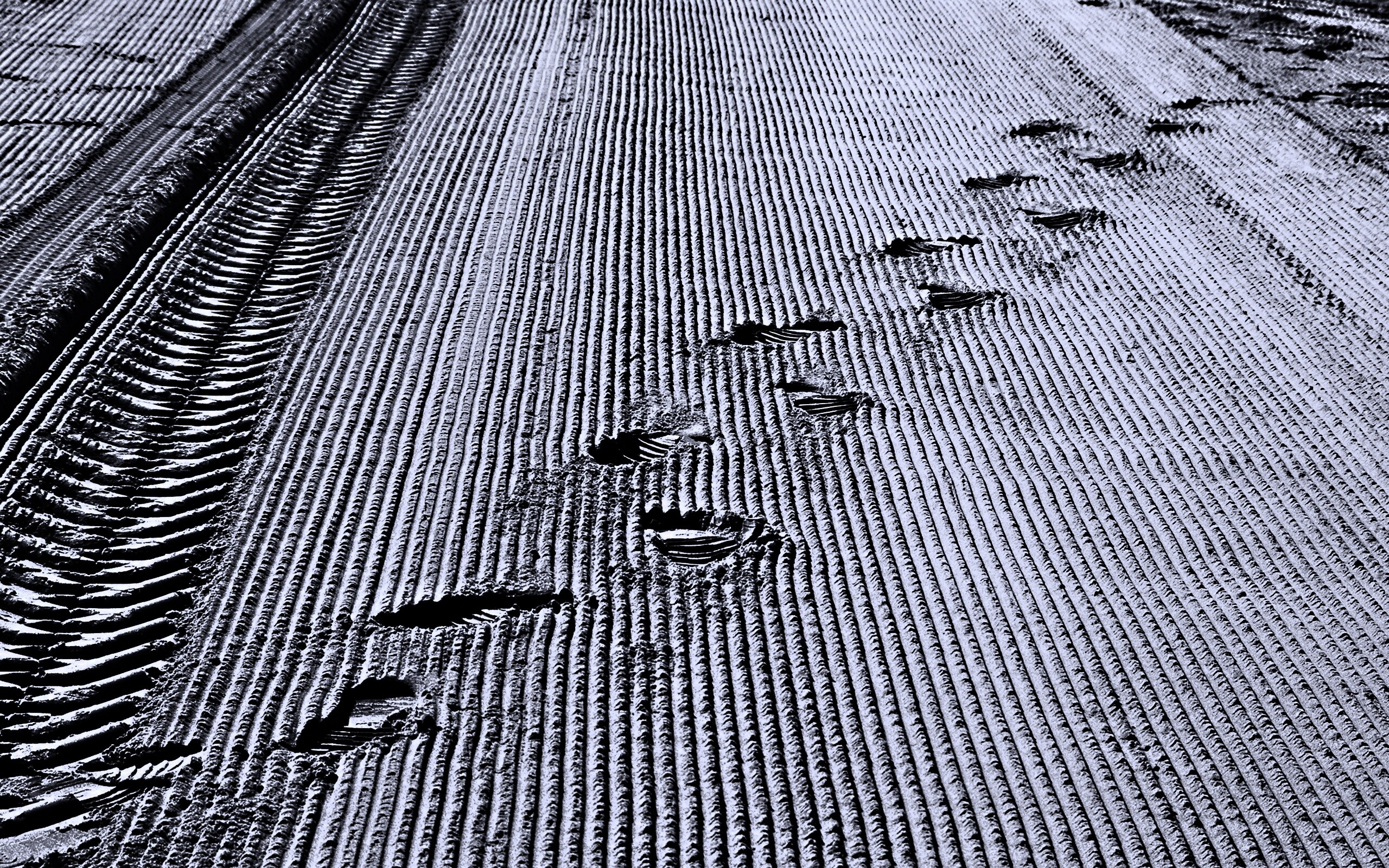 Следы на песке обои