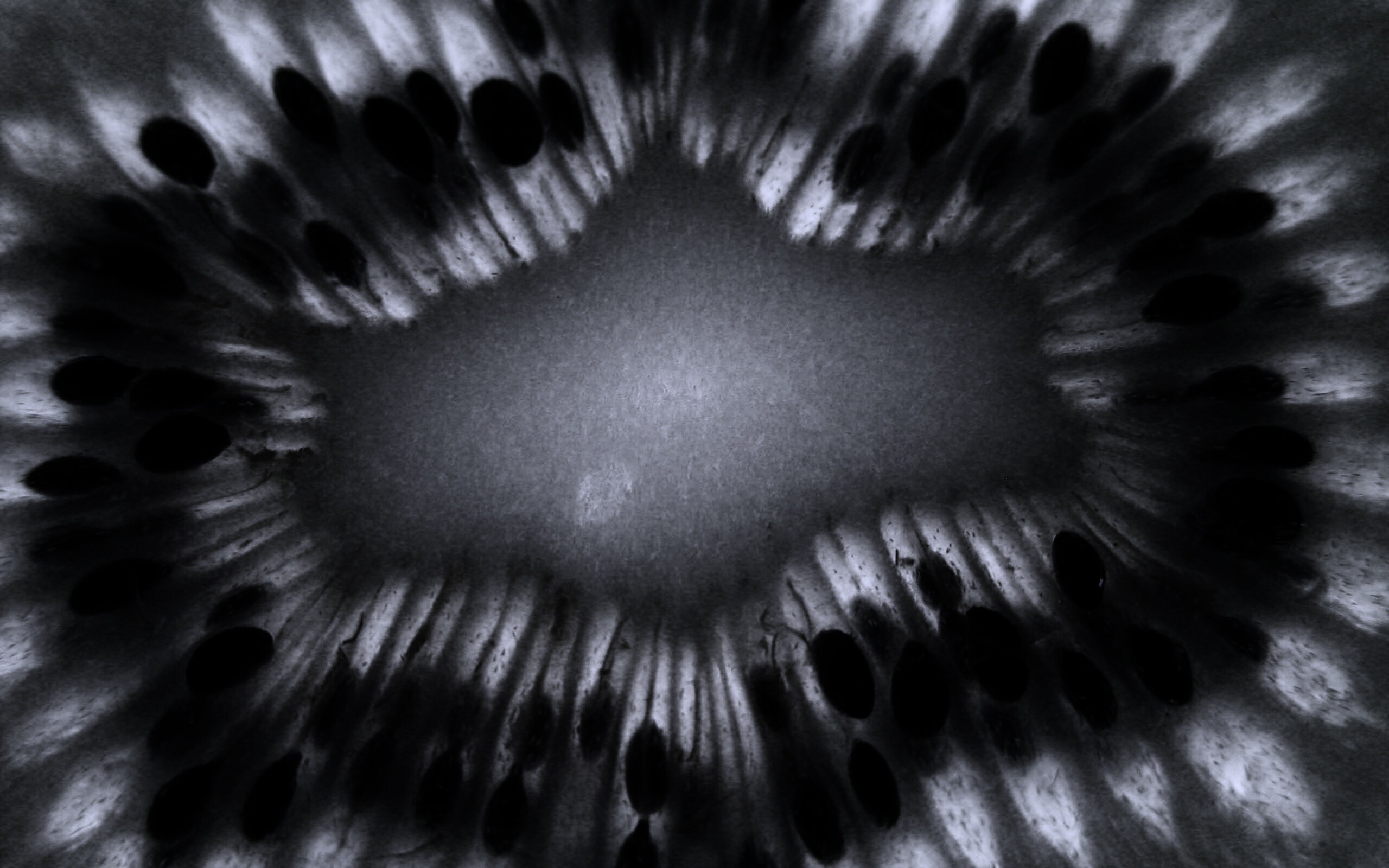 Макро фото киви в разрезе обои