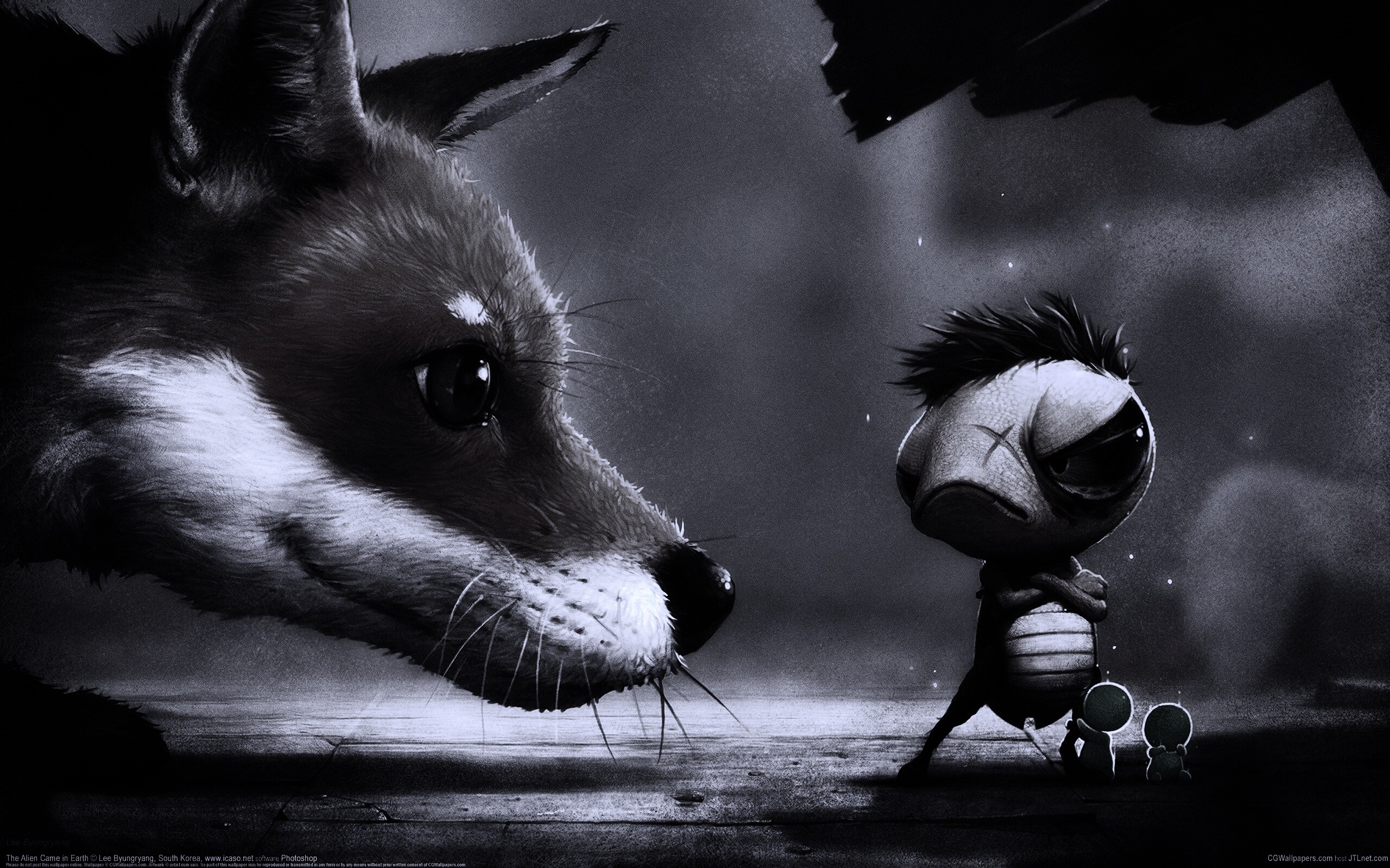 Лиса и жук обои