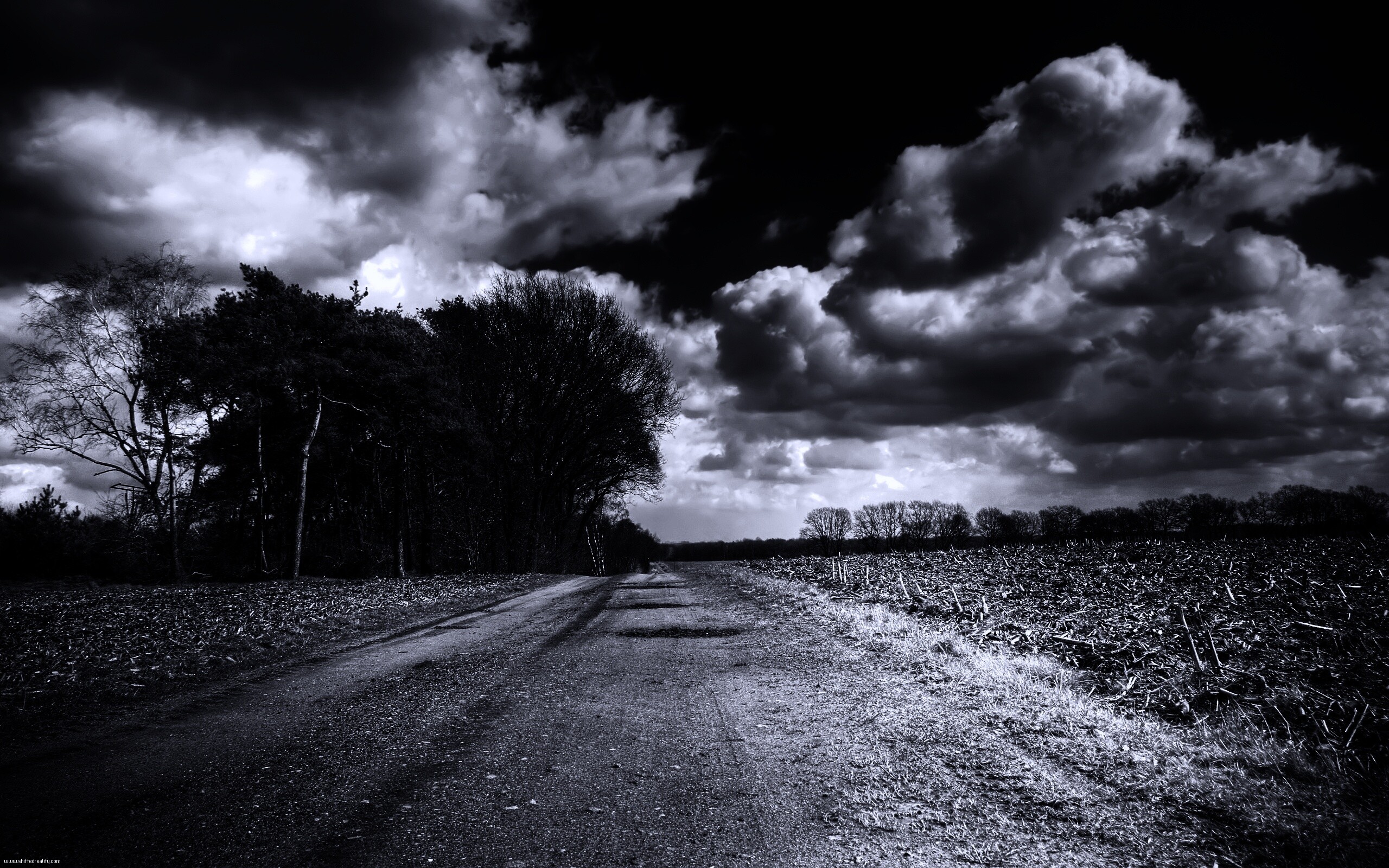 Дорога через поле обои