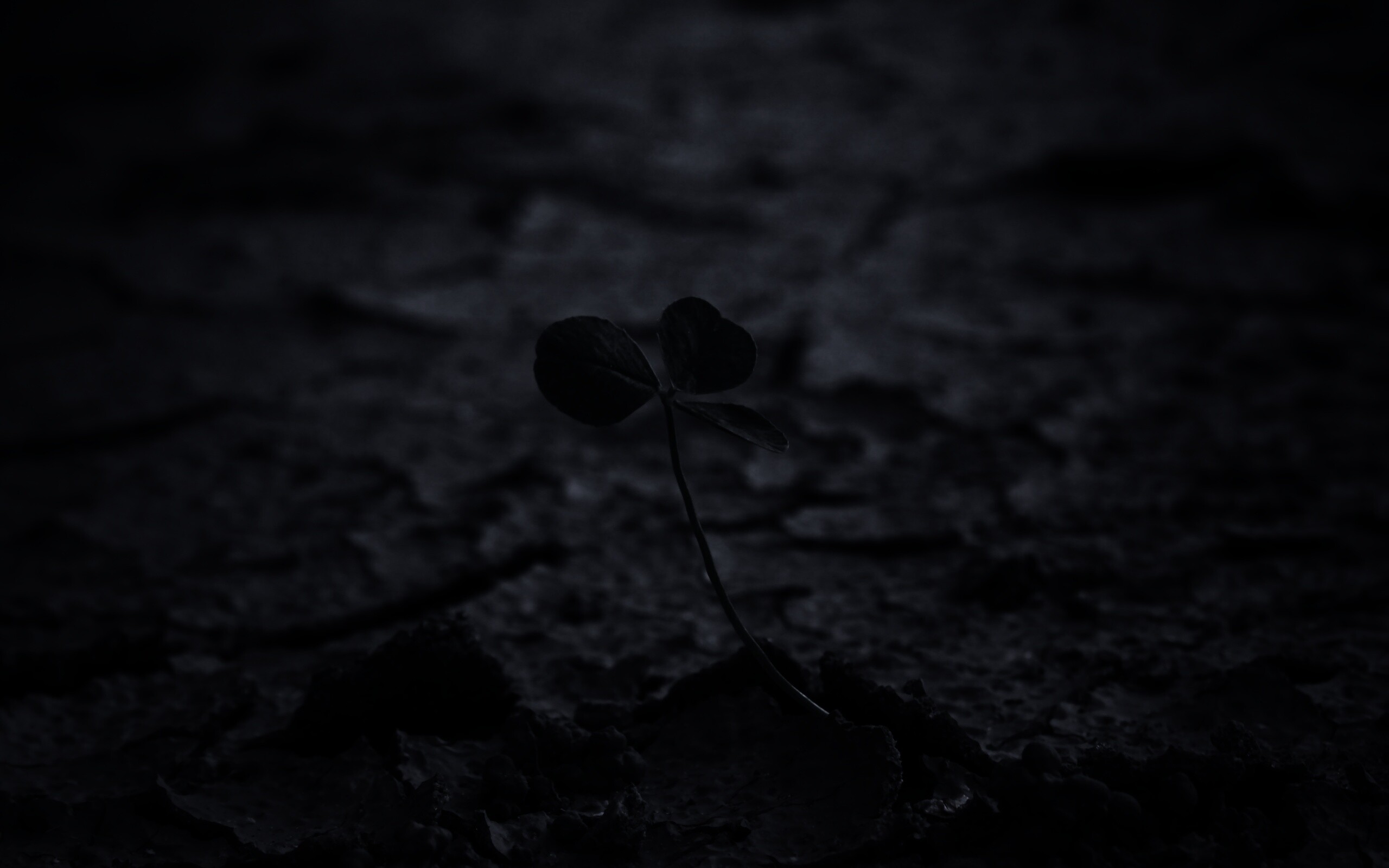 Сила природы обои