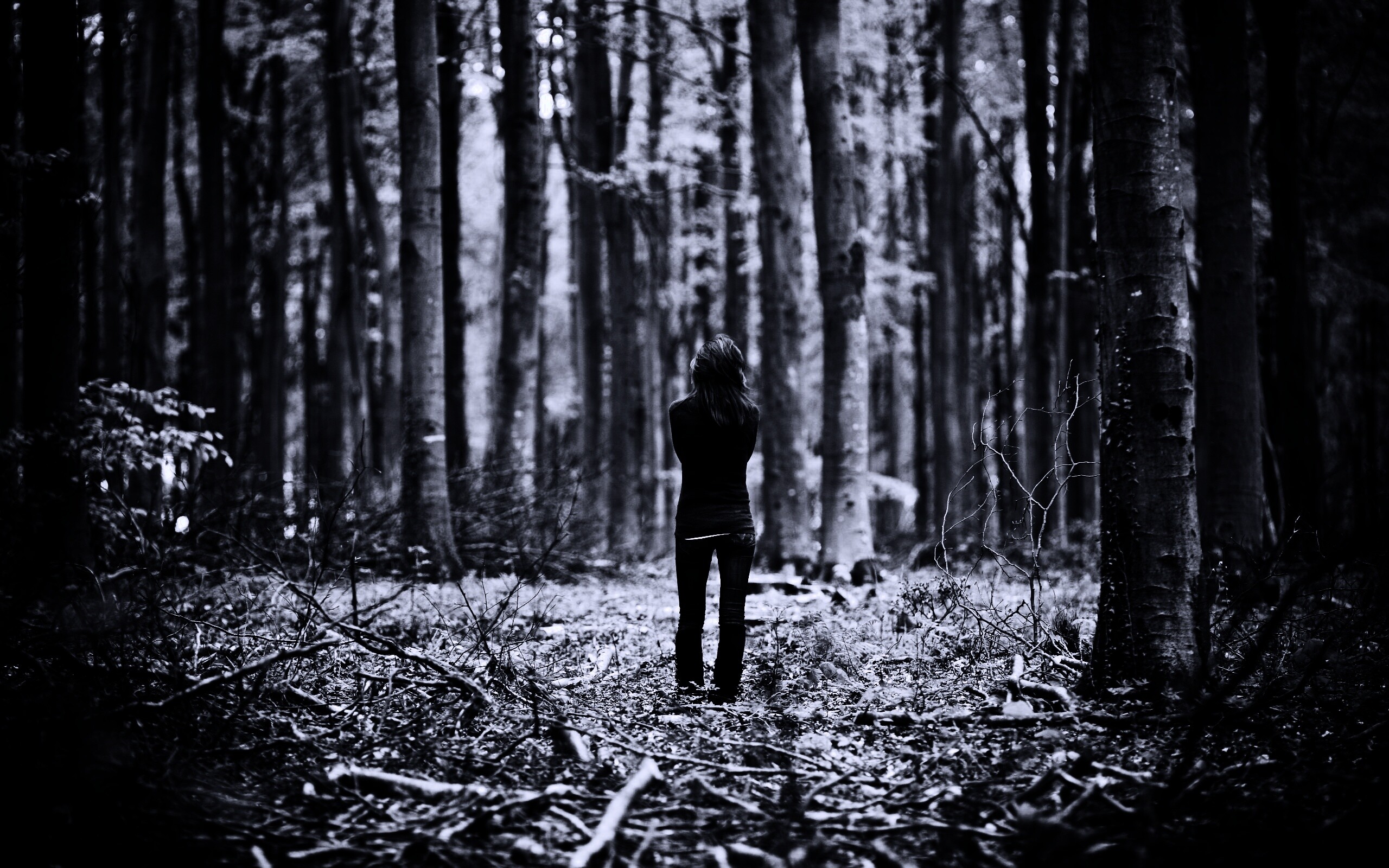 Одна в лесу обои