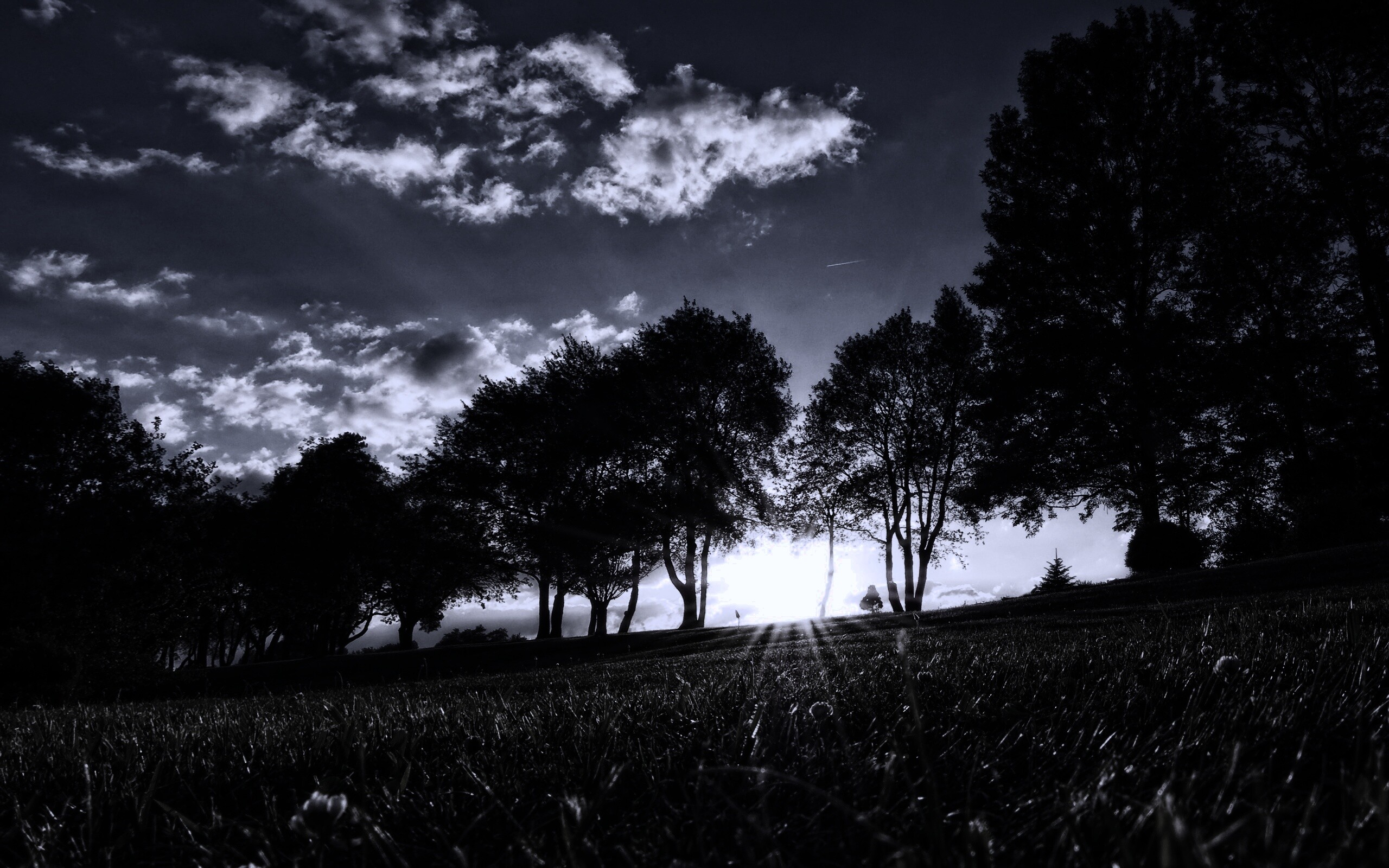 Лучи солнца на траве обои