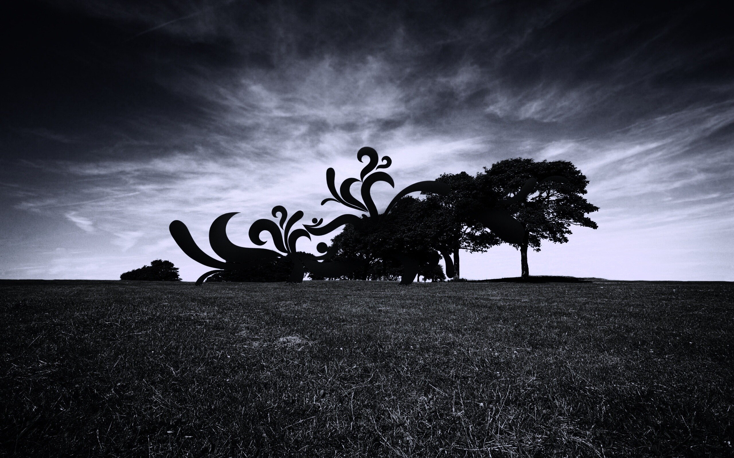 На равнине обои