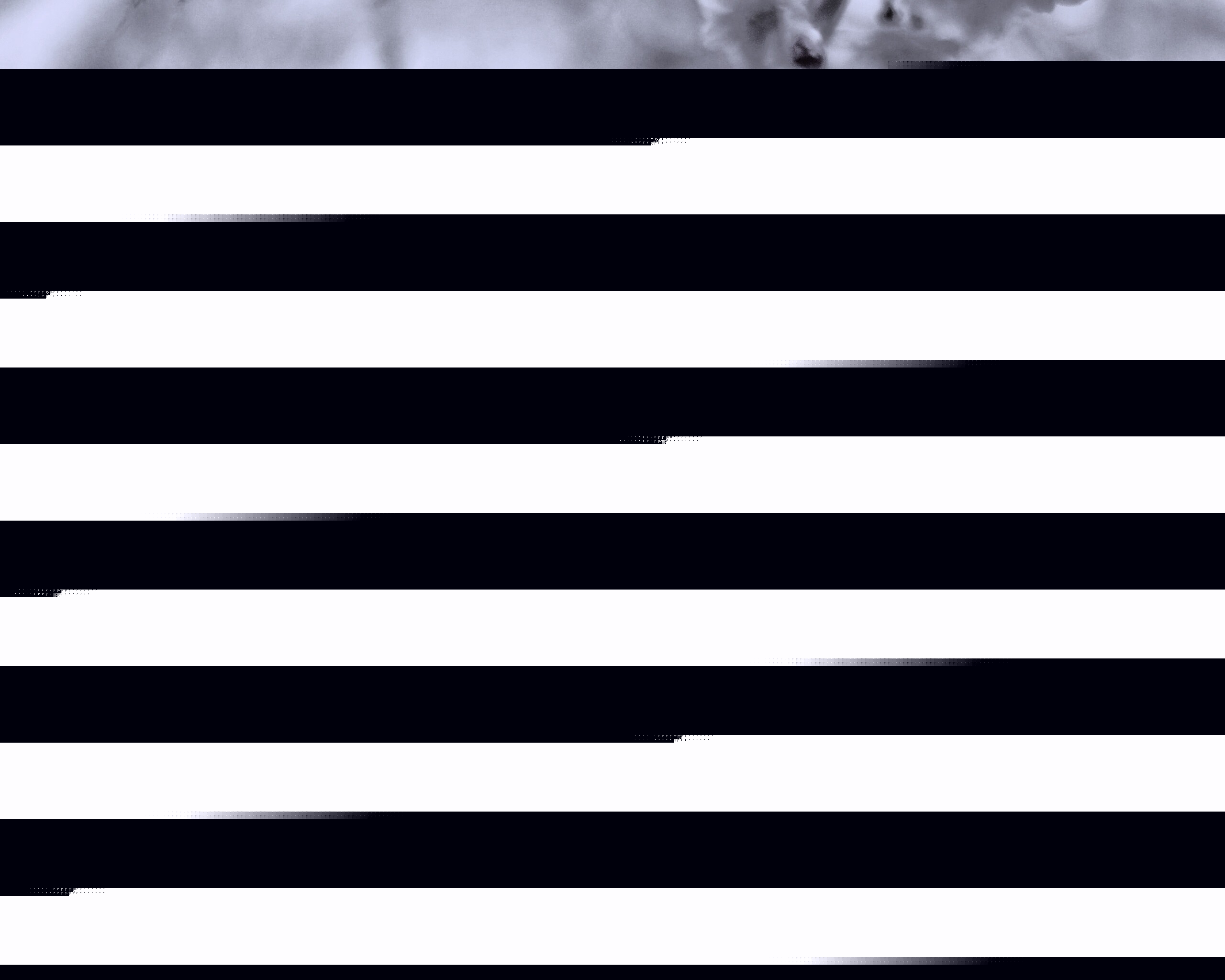 Нежные цветы обои