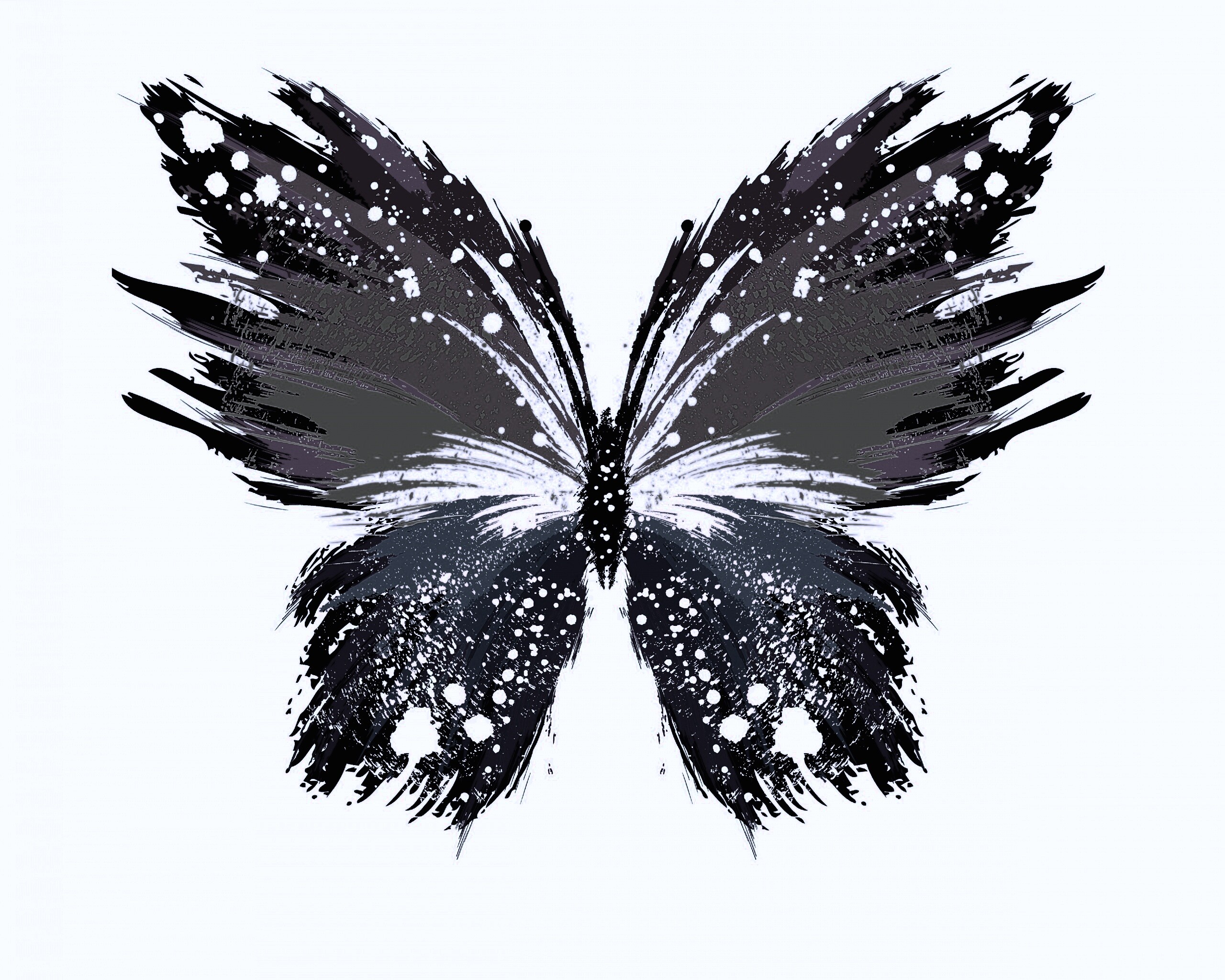 Нарисованная бабочка обои