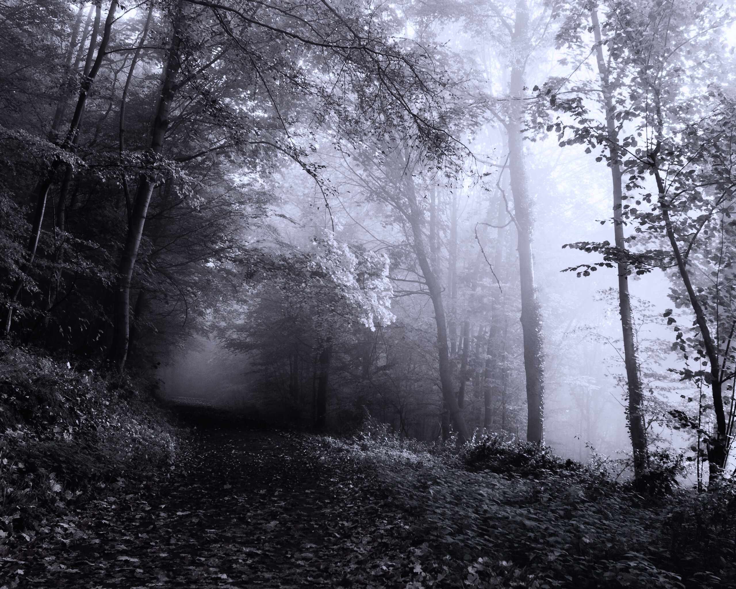 Осенний мистический пейзаж обои