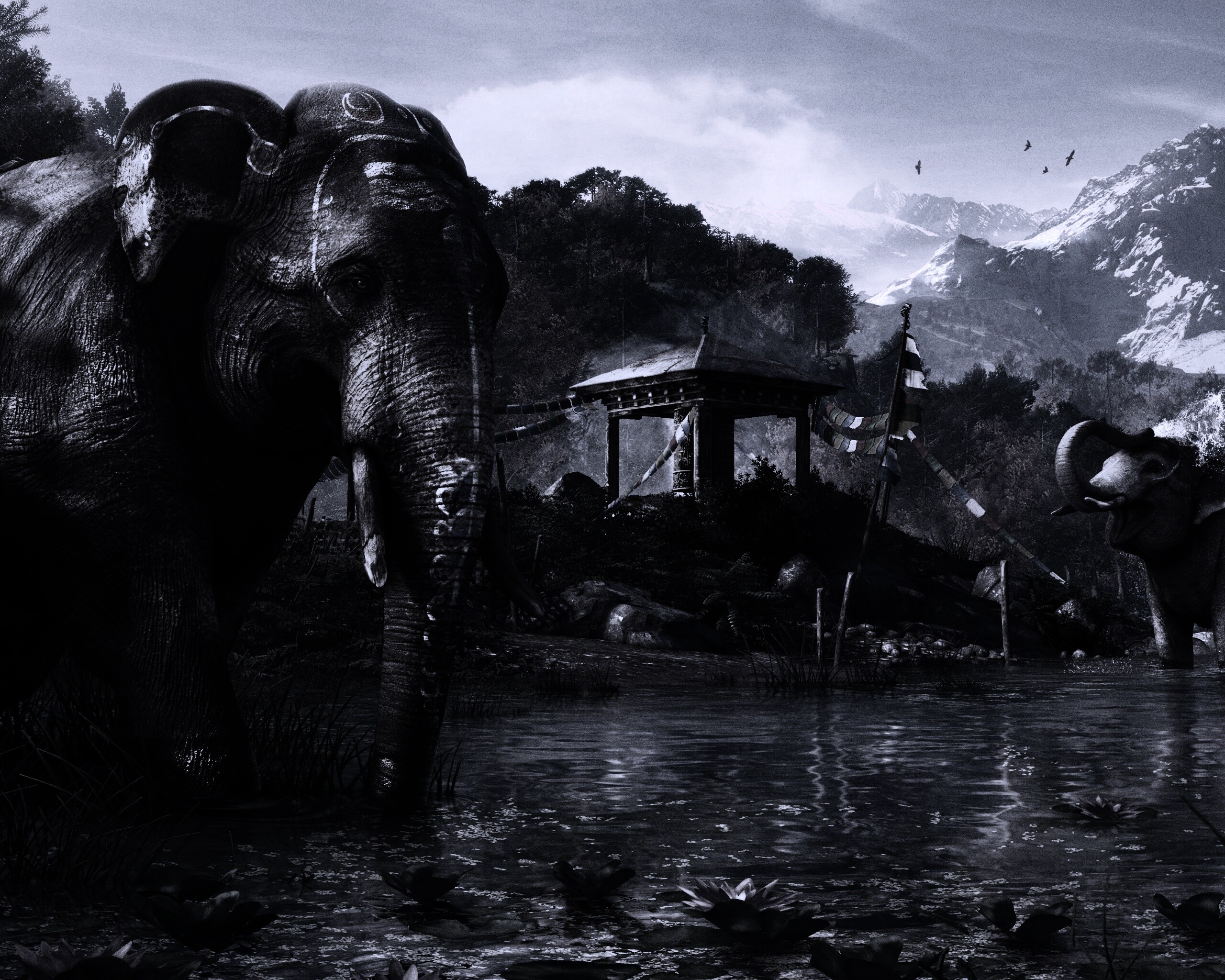 Слоники у воды обои