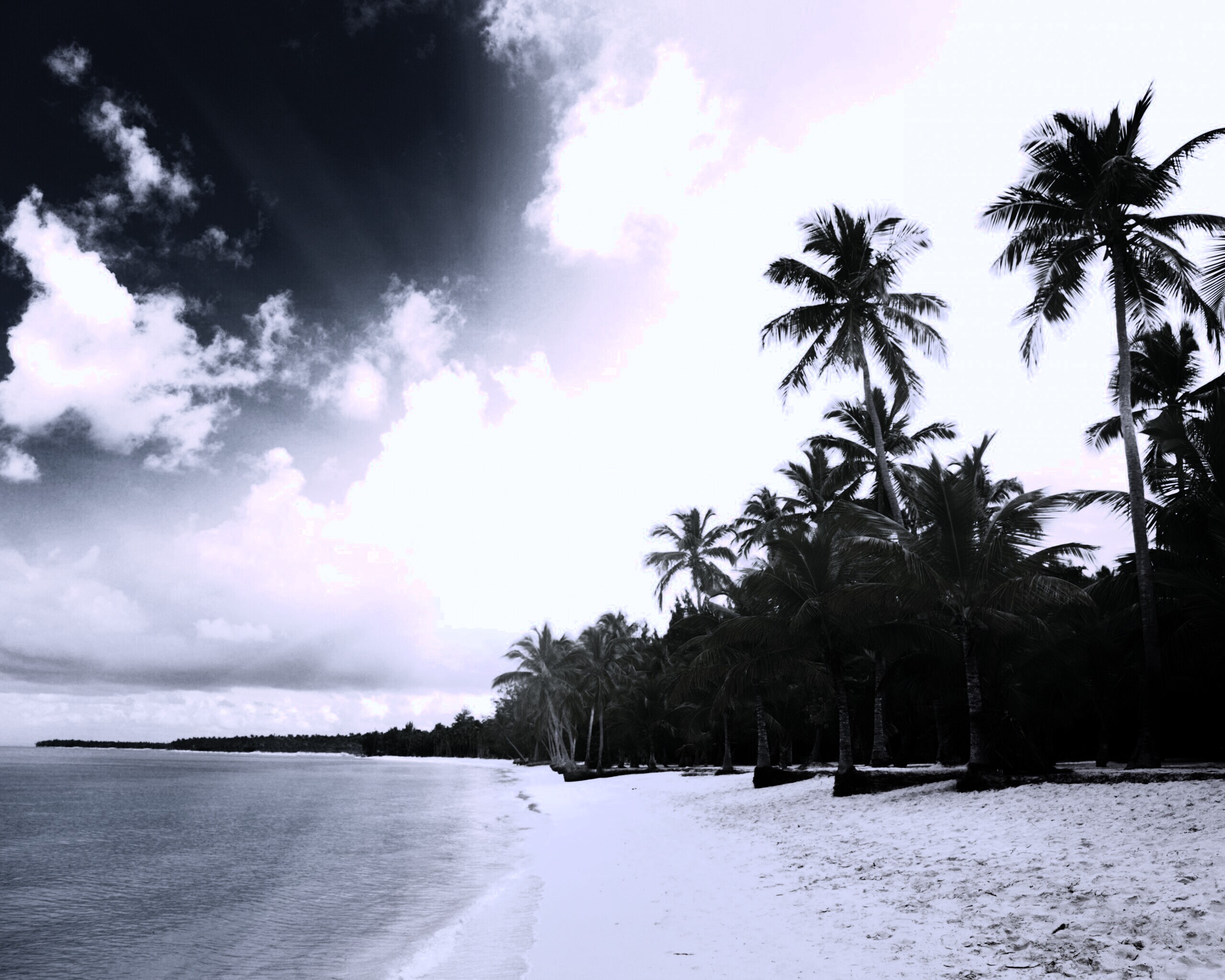 Тропическое побережье обои