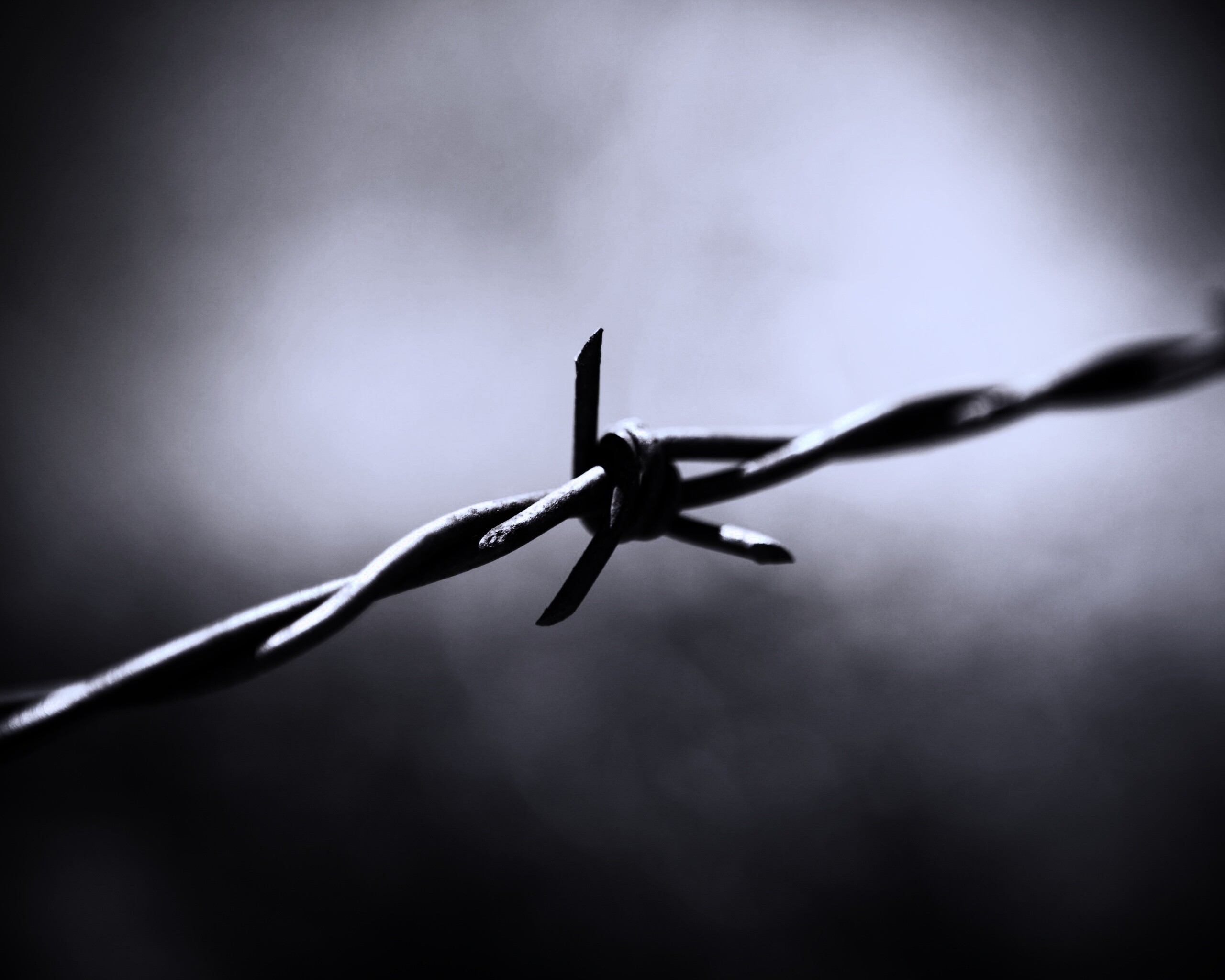 Фото колючей проволоки обои