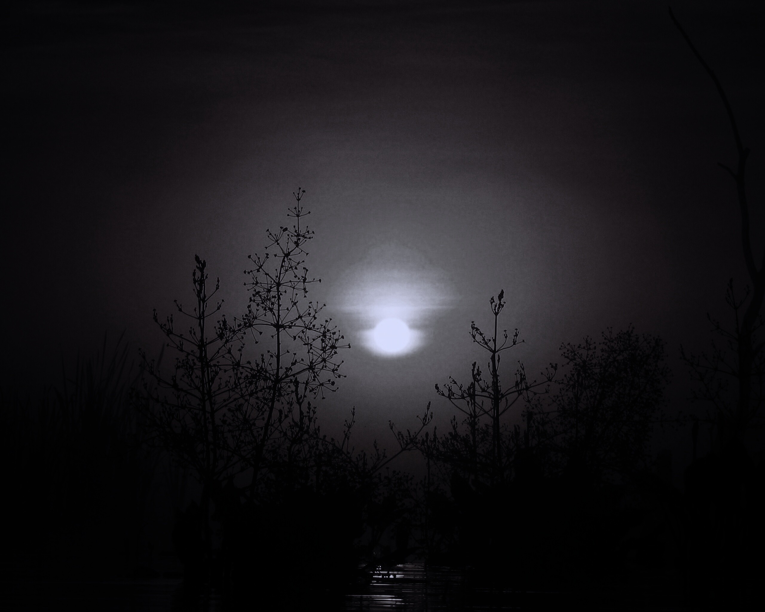 Доисторическое утро обои