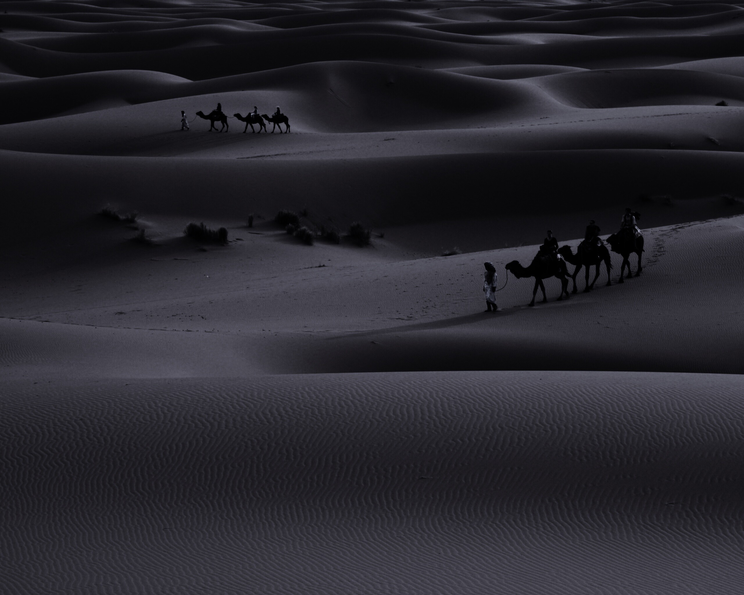 Караваны пустыни обои