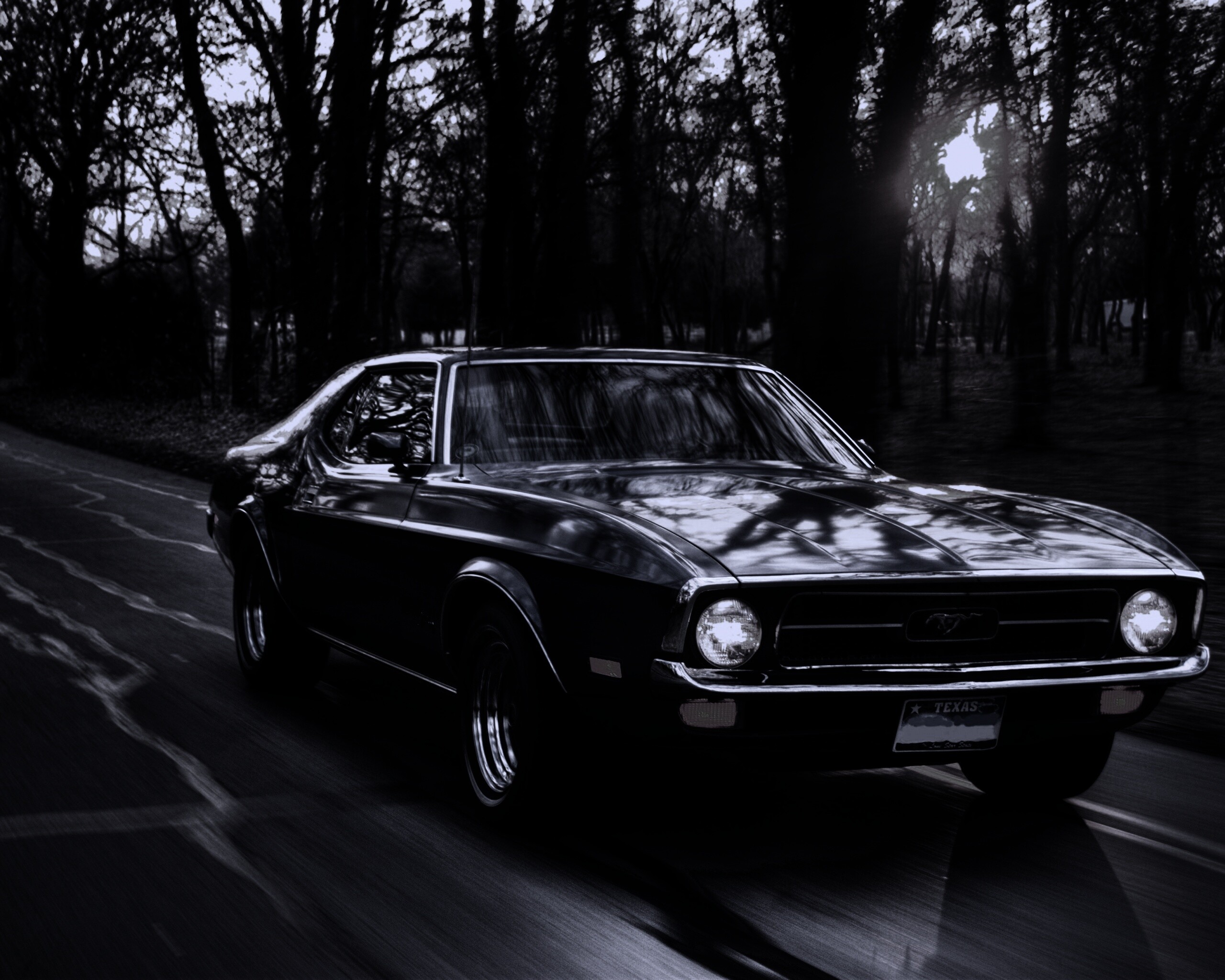 Мустанг обои