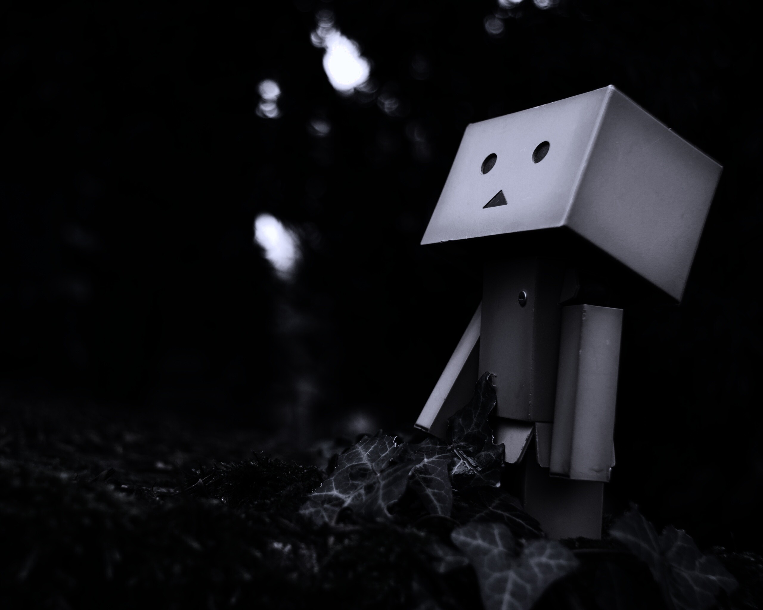 Danbo смотрит вверх обои