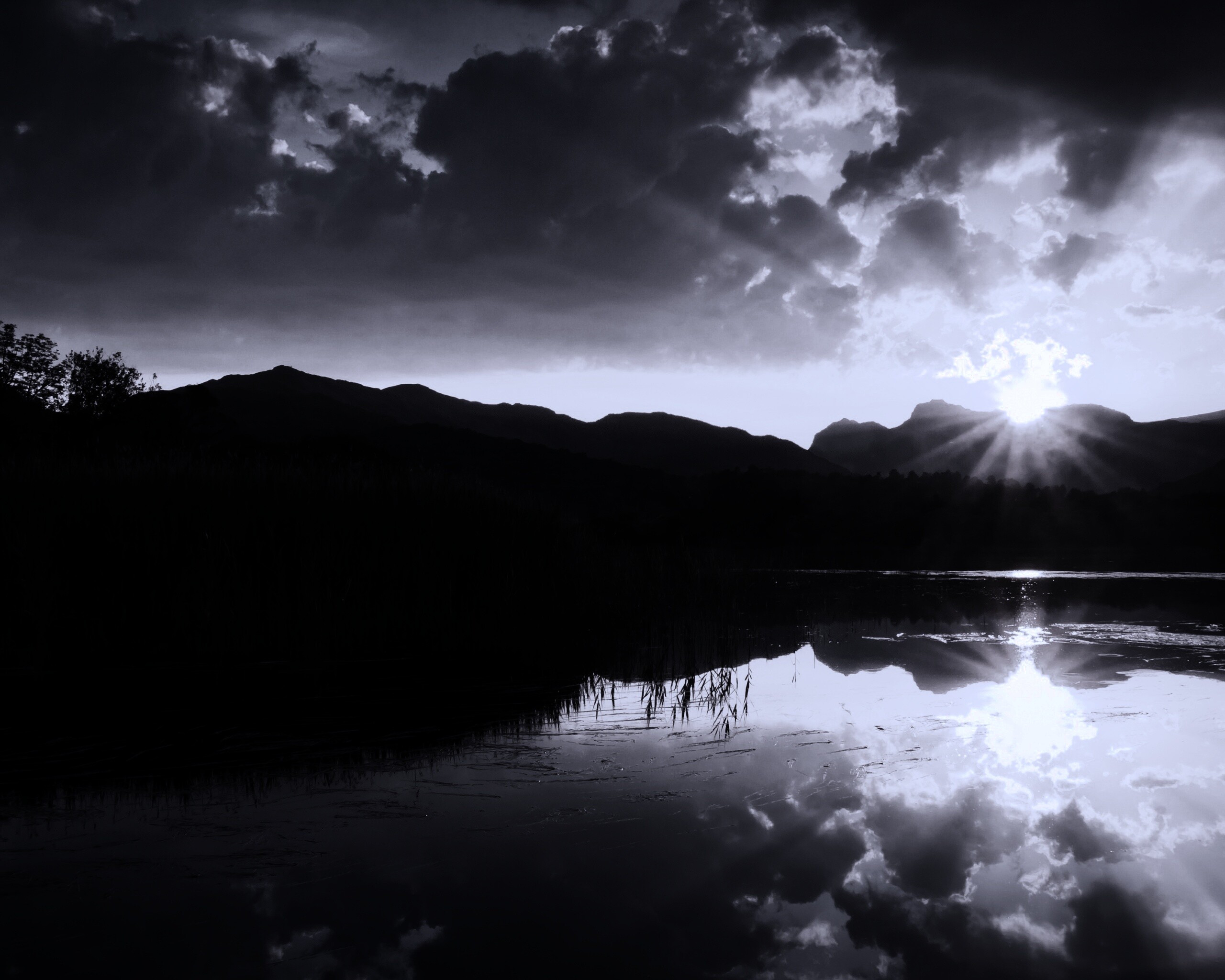 Закат за лесом обои