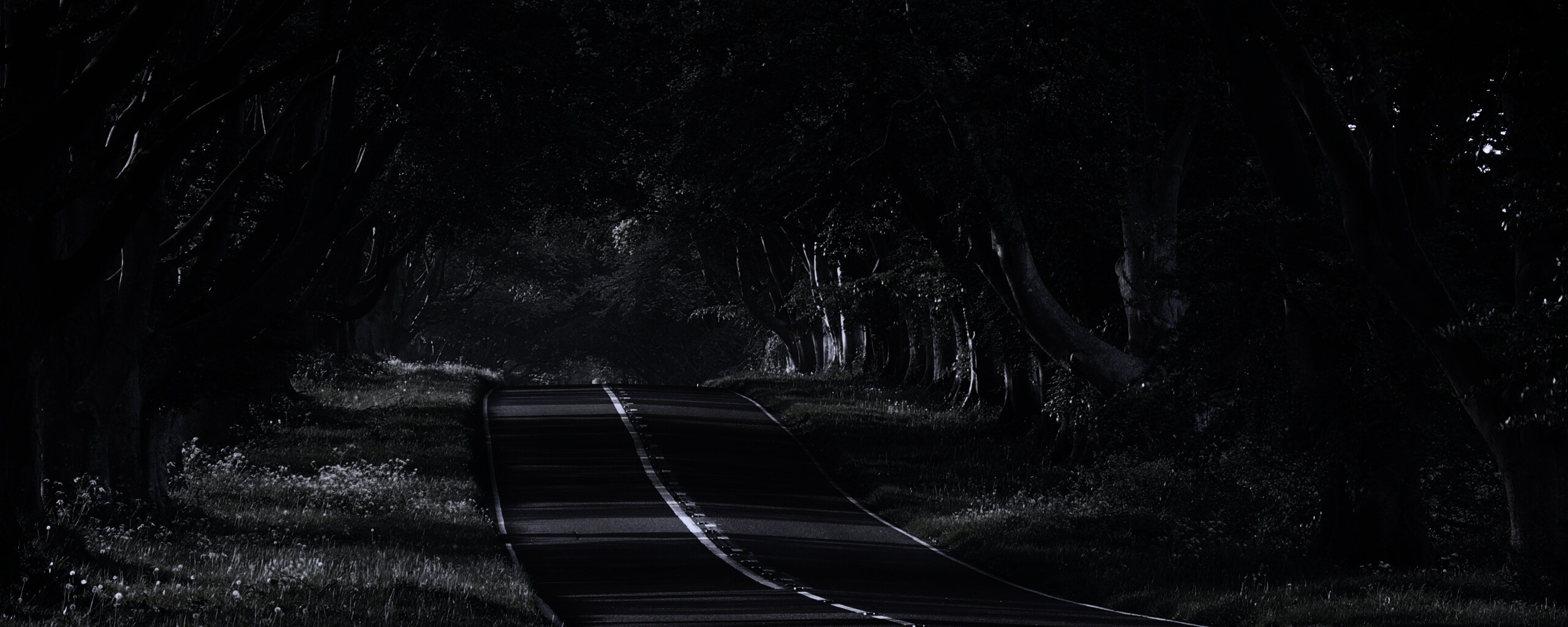 Трасса в тени деревьев обои