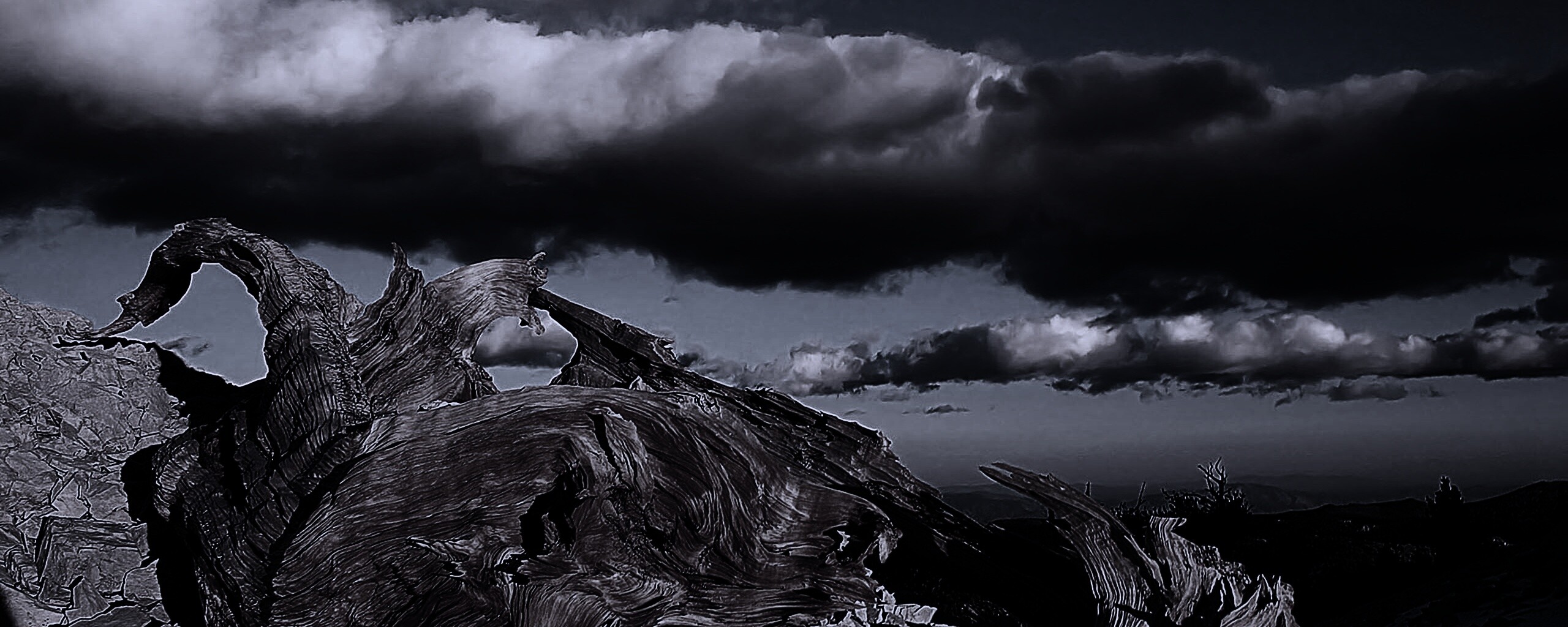 Прелести природы обои