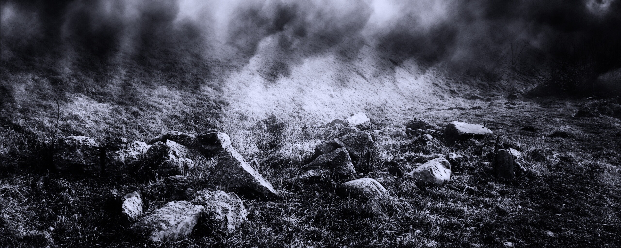 Туман на склоне обои