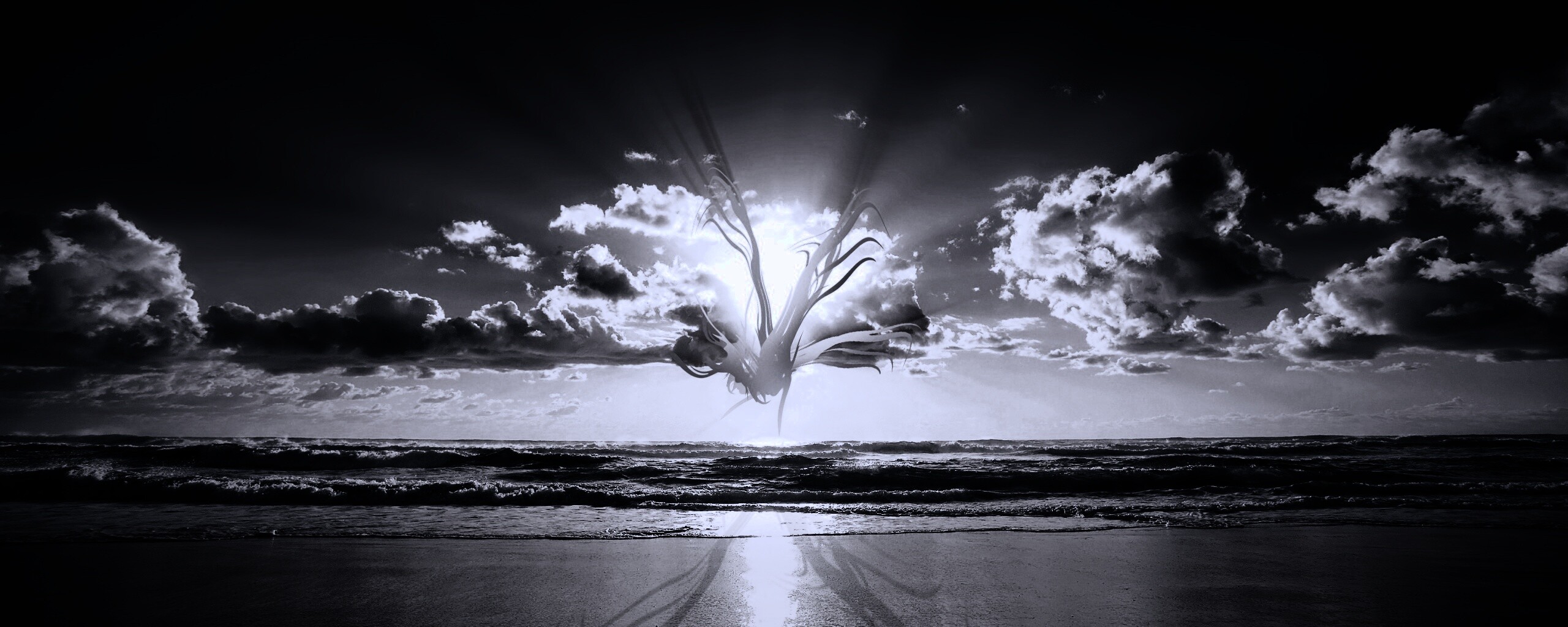 Абстрактные перья на фоне заката обои