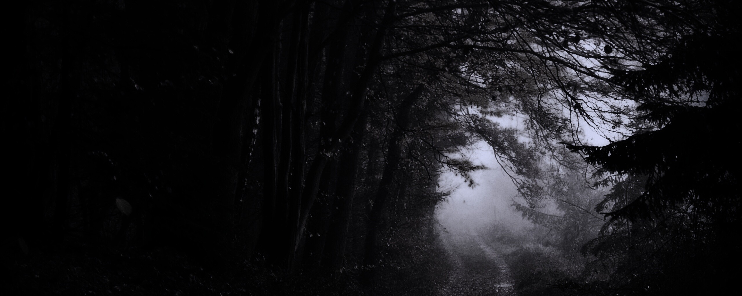 Дорожка заваленная листьями обои